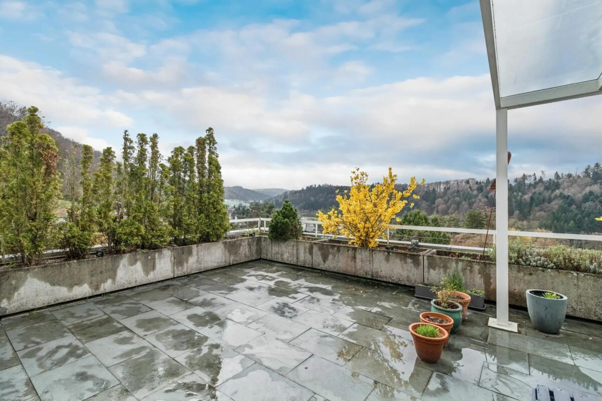Raum für Ihre Visionen - Grosszügige Terrassenwohnung mit Weitblick