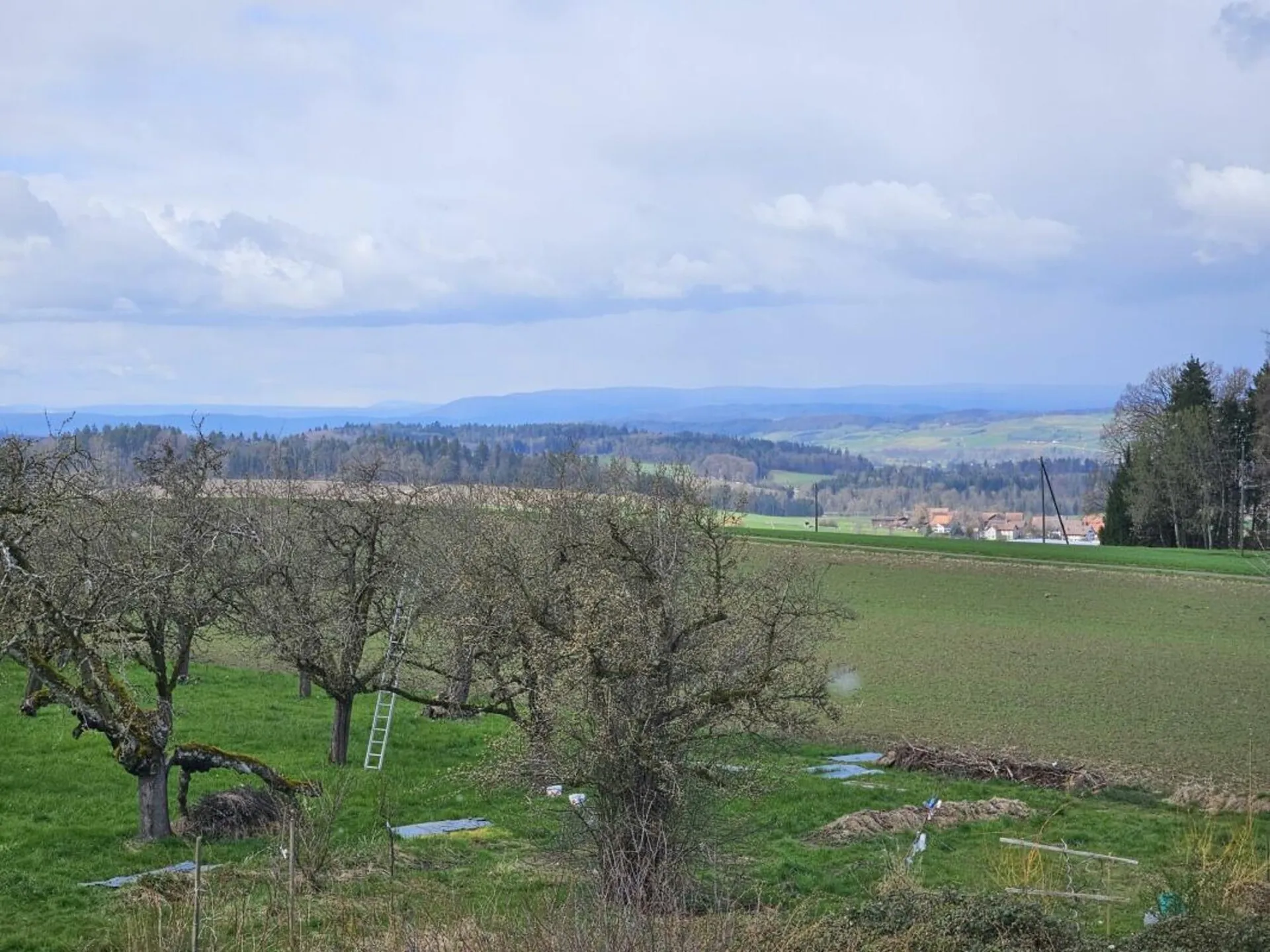Neubau 2.5-Zimmer-Loftwohnung (DG, Nr. 7) im ländlichen Liebensberg (Gemeinde Wiesendangen)