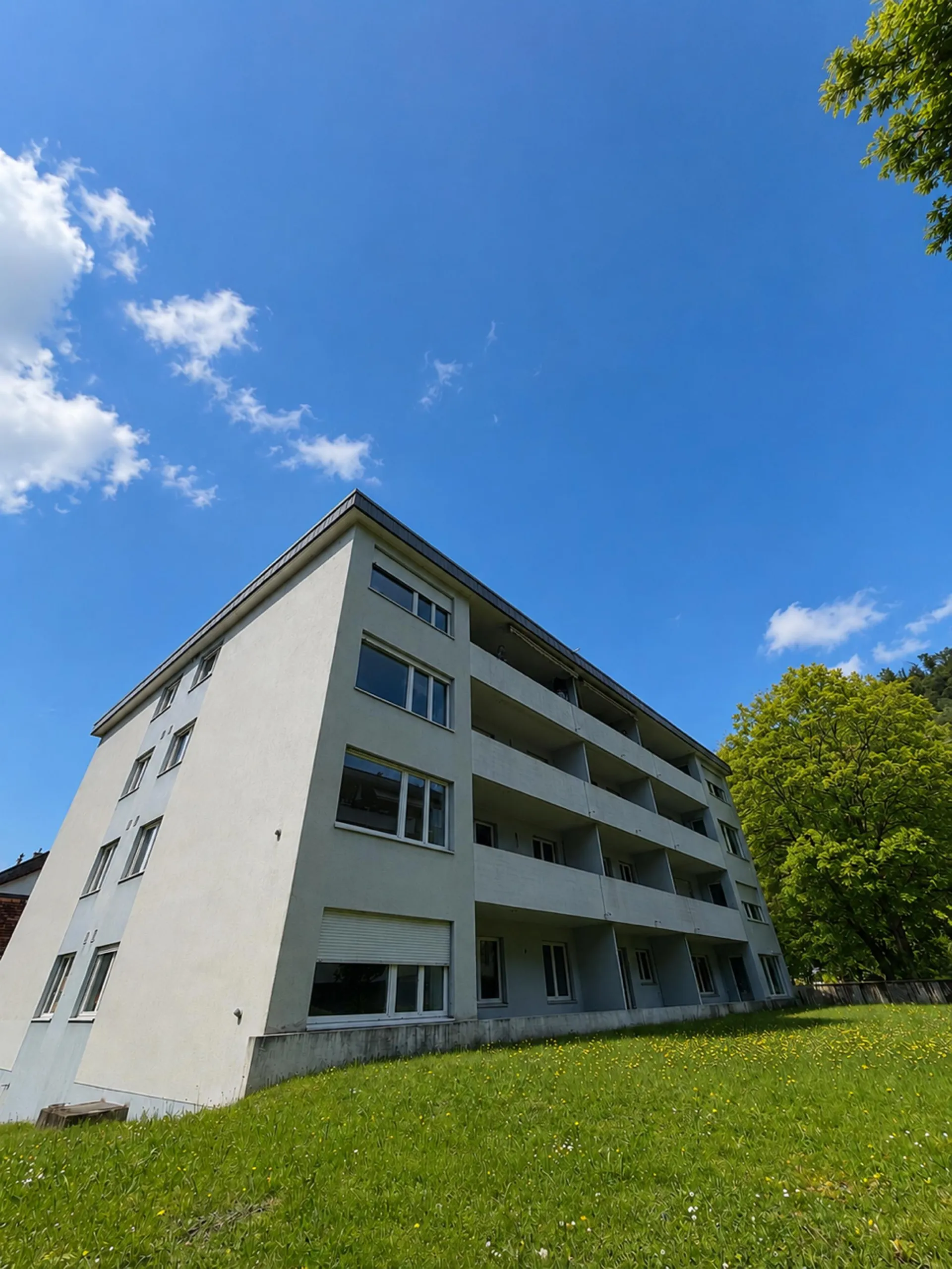 Erstvermietung nach Renovierung – Moderne 3.5-Zimmerwohnung in Trimbach