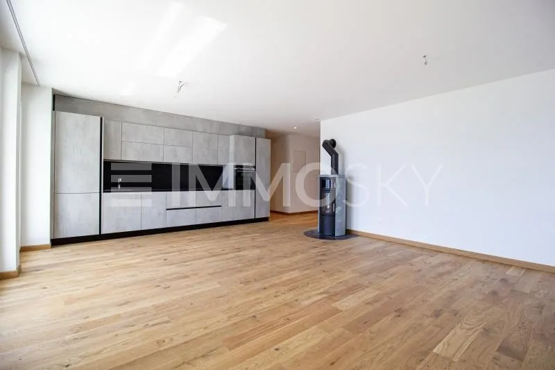 4.5Zi mit Terrasse und Aussicht  (Nr. 11a)