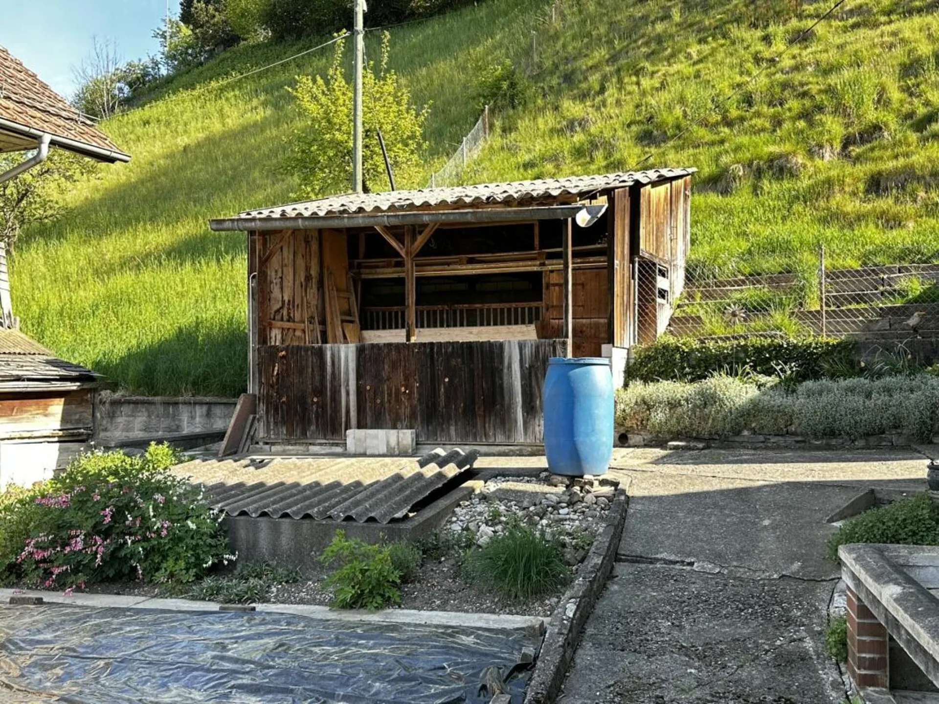 Image 14