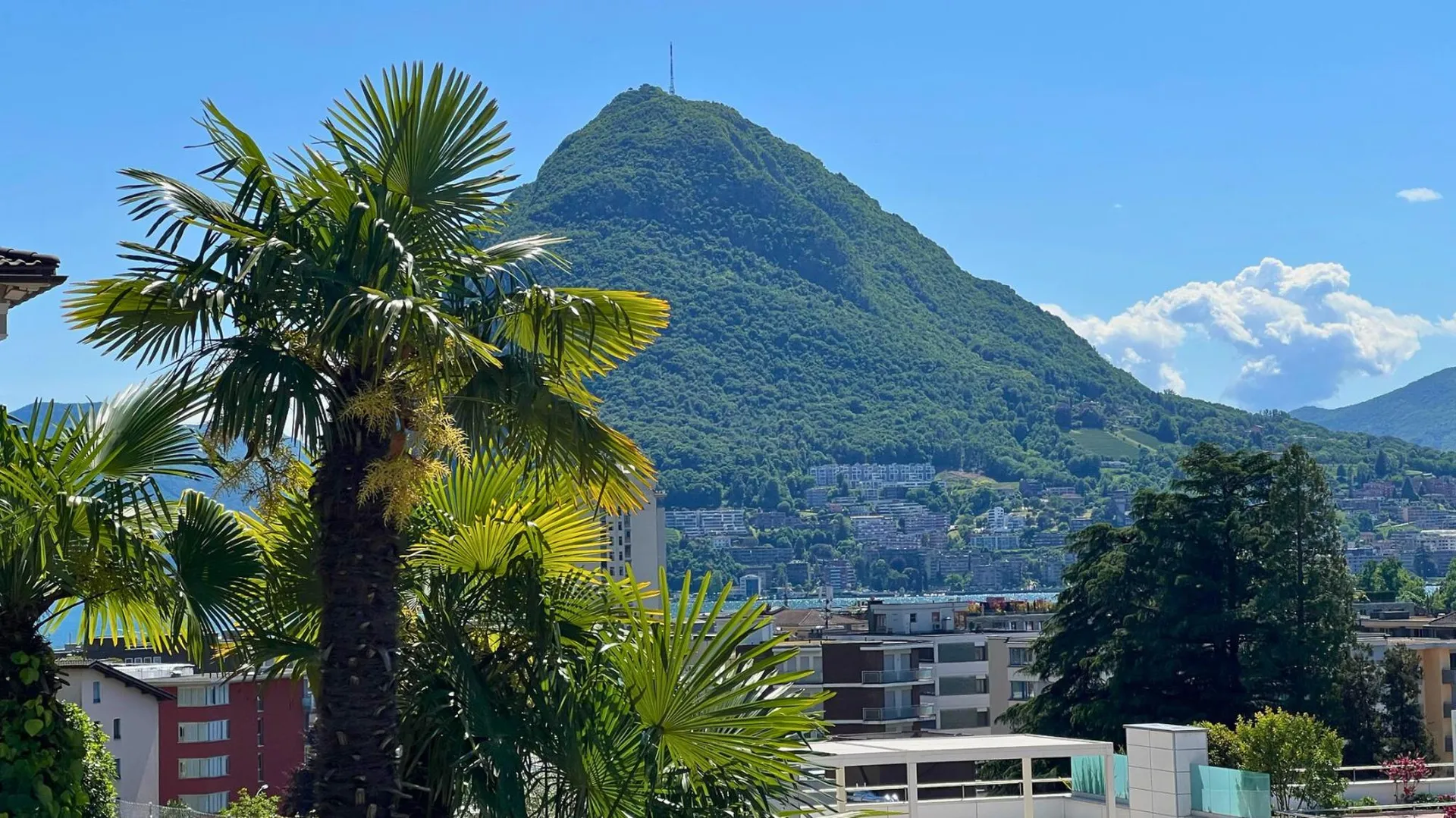 Viganello: 2,5 locali con balcone e vicino a tutti i servizi.