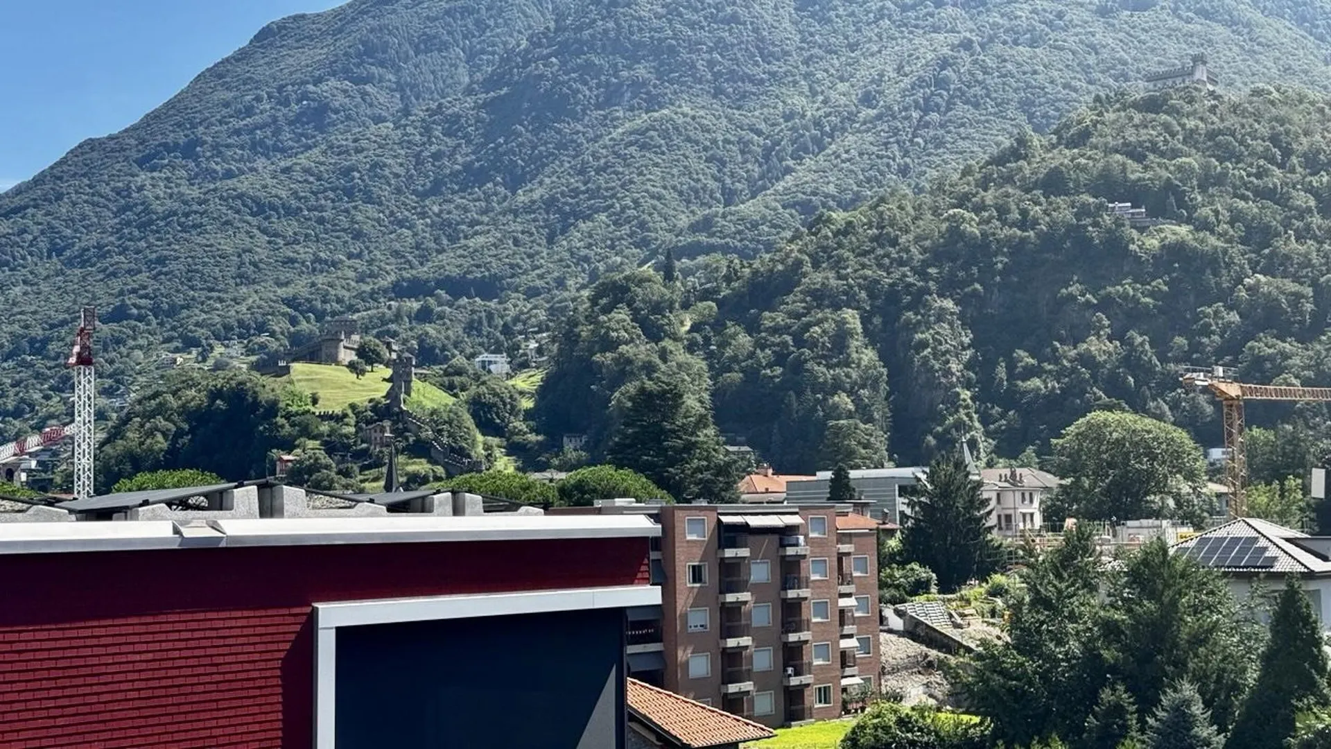 Image 12