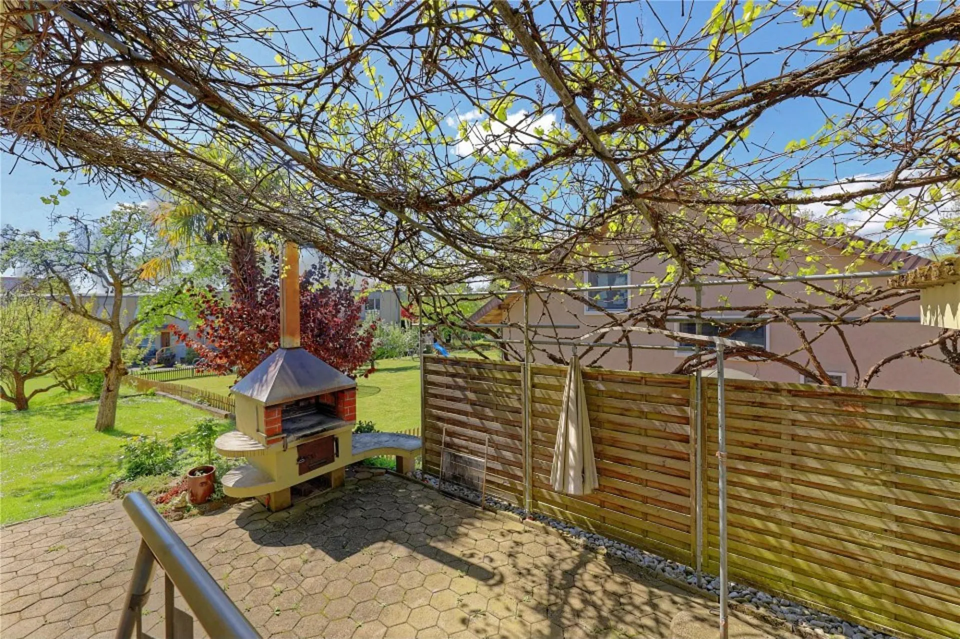 Immagine 7