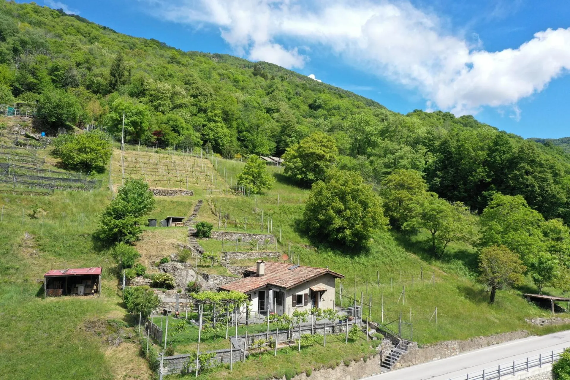 Schönes Rustico in ruhiger Lage und schönem Rebberg in Medeglia