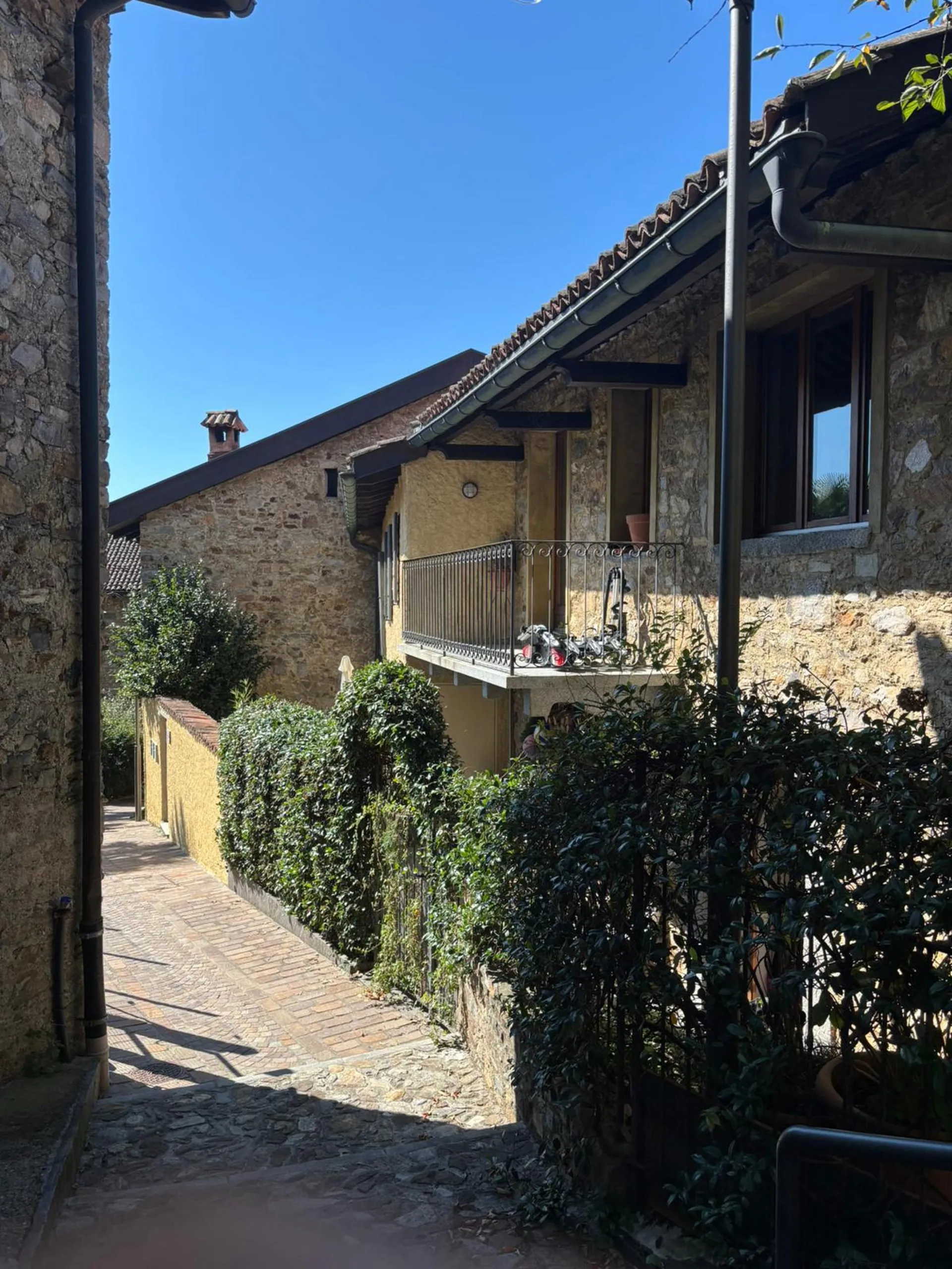 Image 12