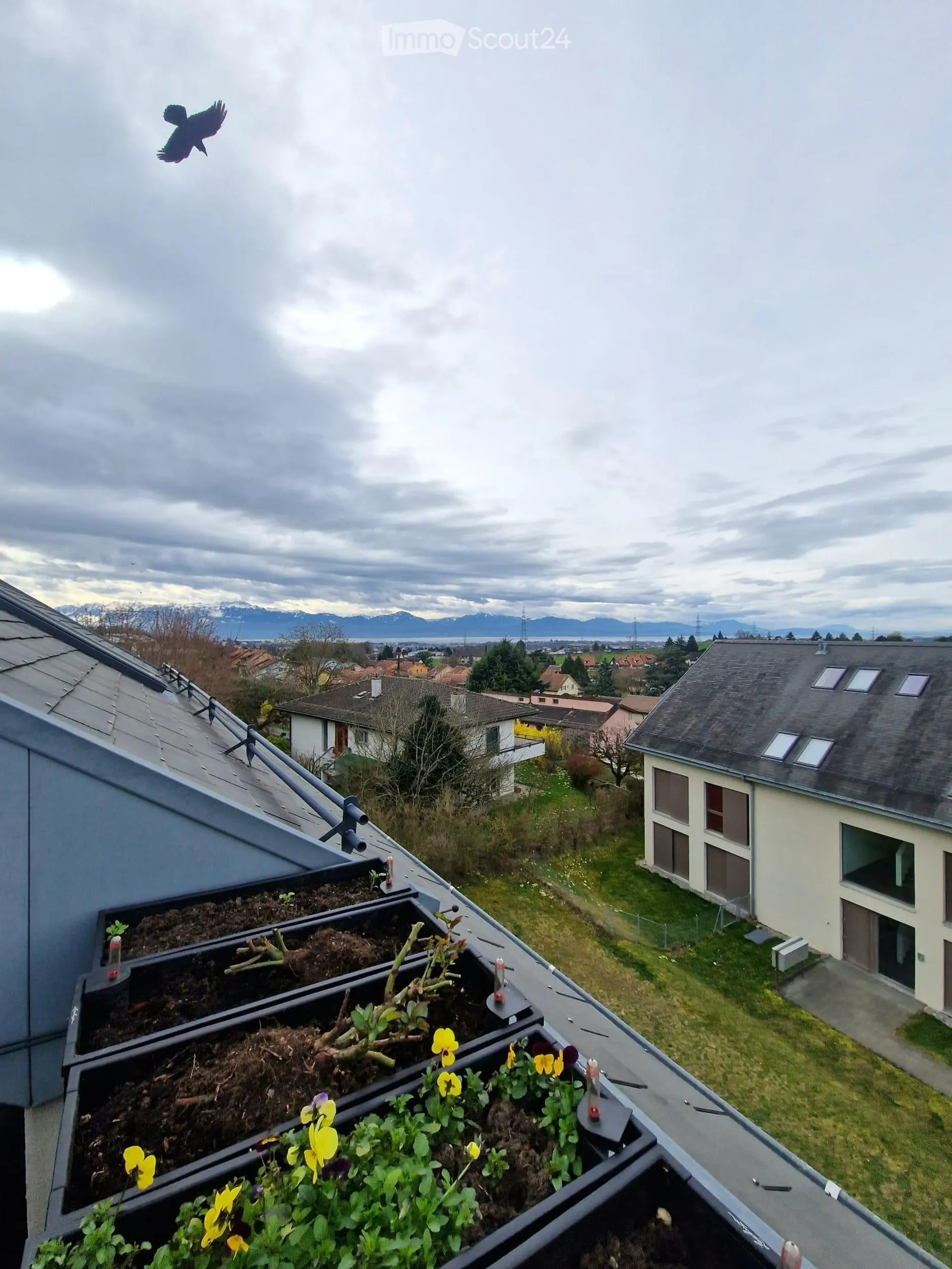 Bild 22