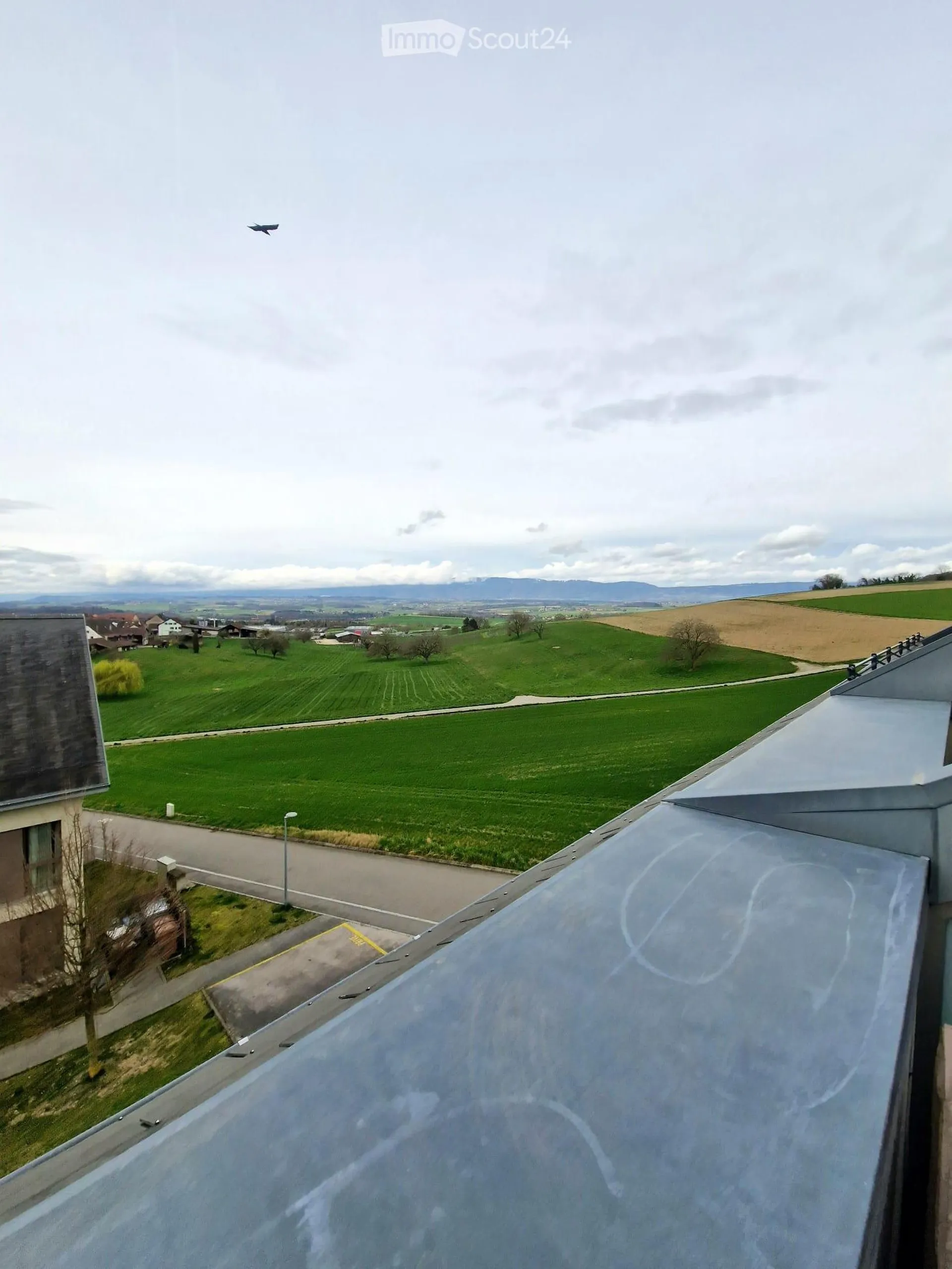 Bild 19