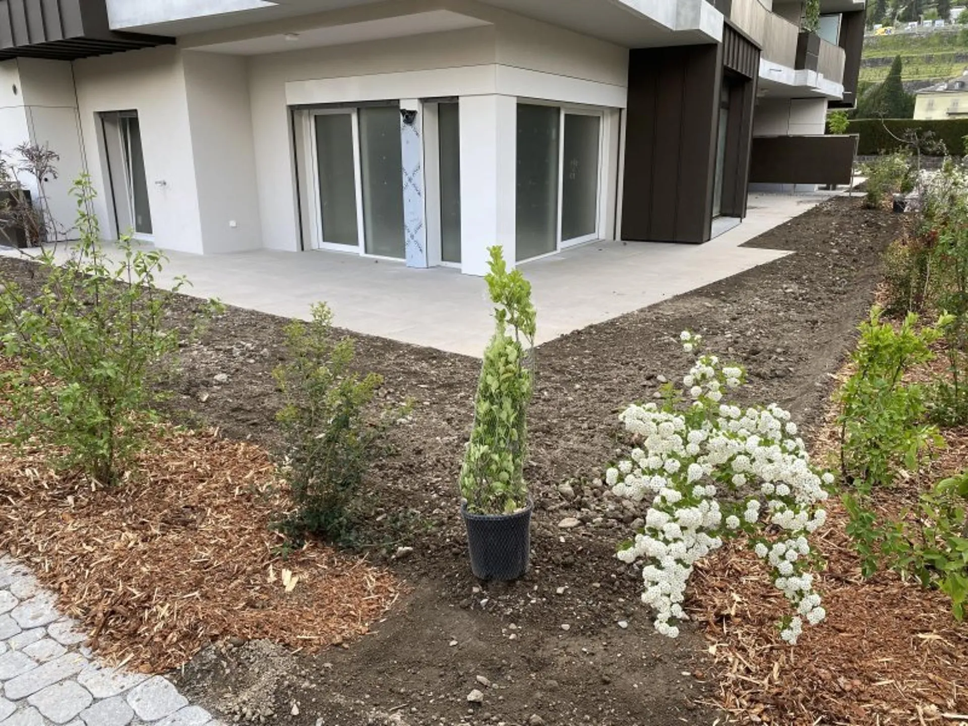 07788 - Appartement 2.5 pièces - Rue du Crochetan 20 - Monthey
