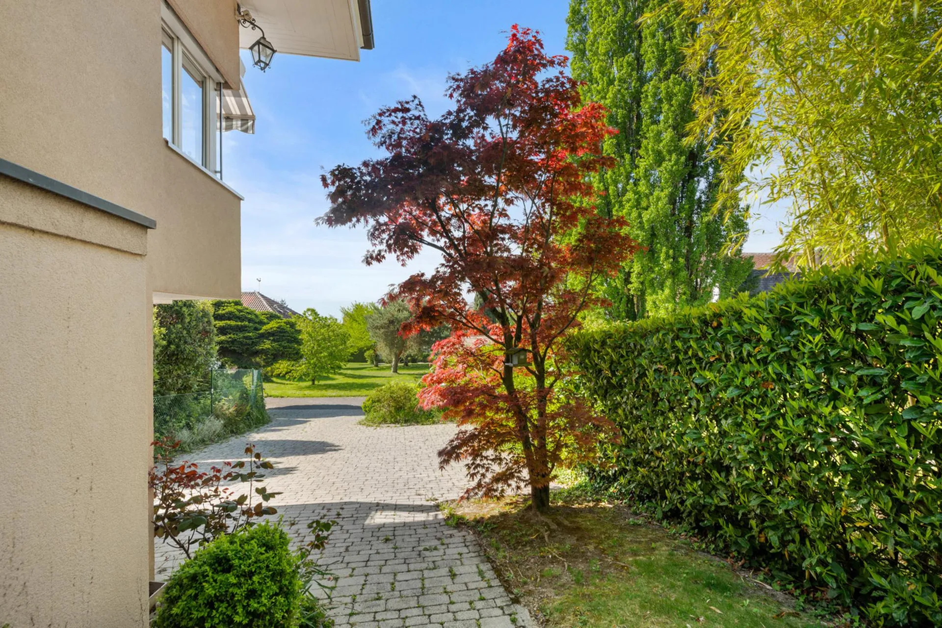 Bild 19