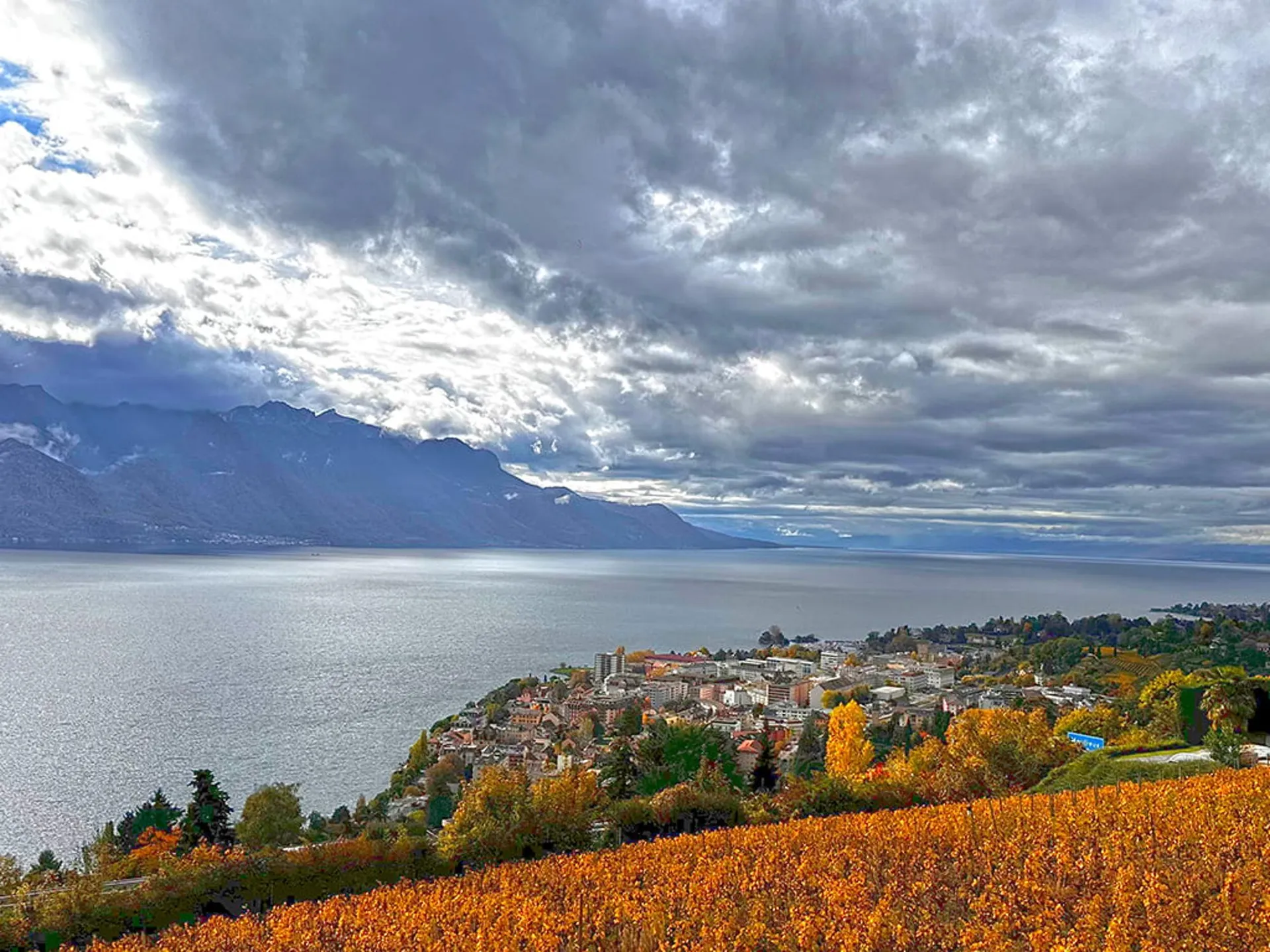 MONTREUX - VILLA D’EXCEPTION AVEC VUE PANORAMIQUE