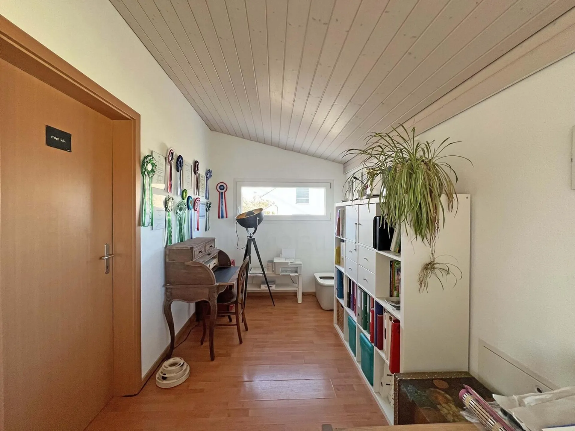Image 6