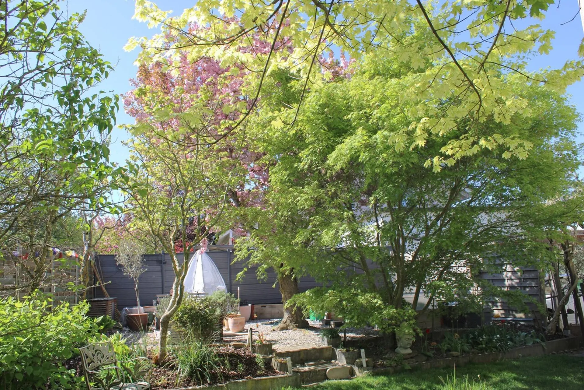 Image 13