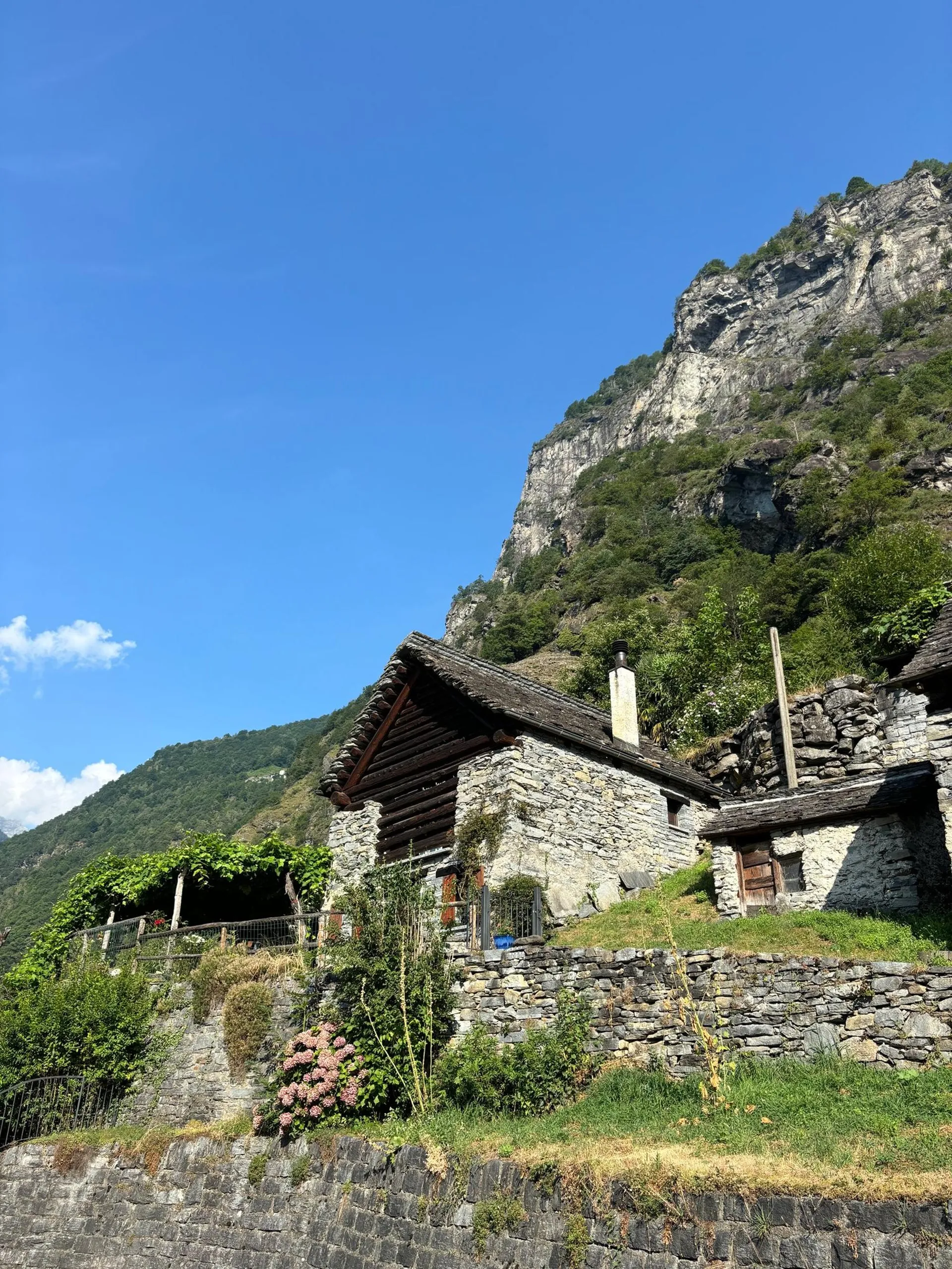 Image 13