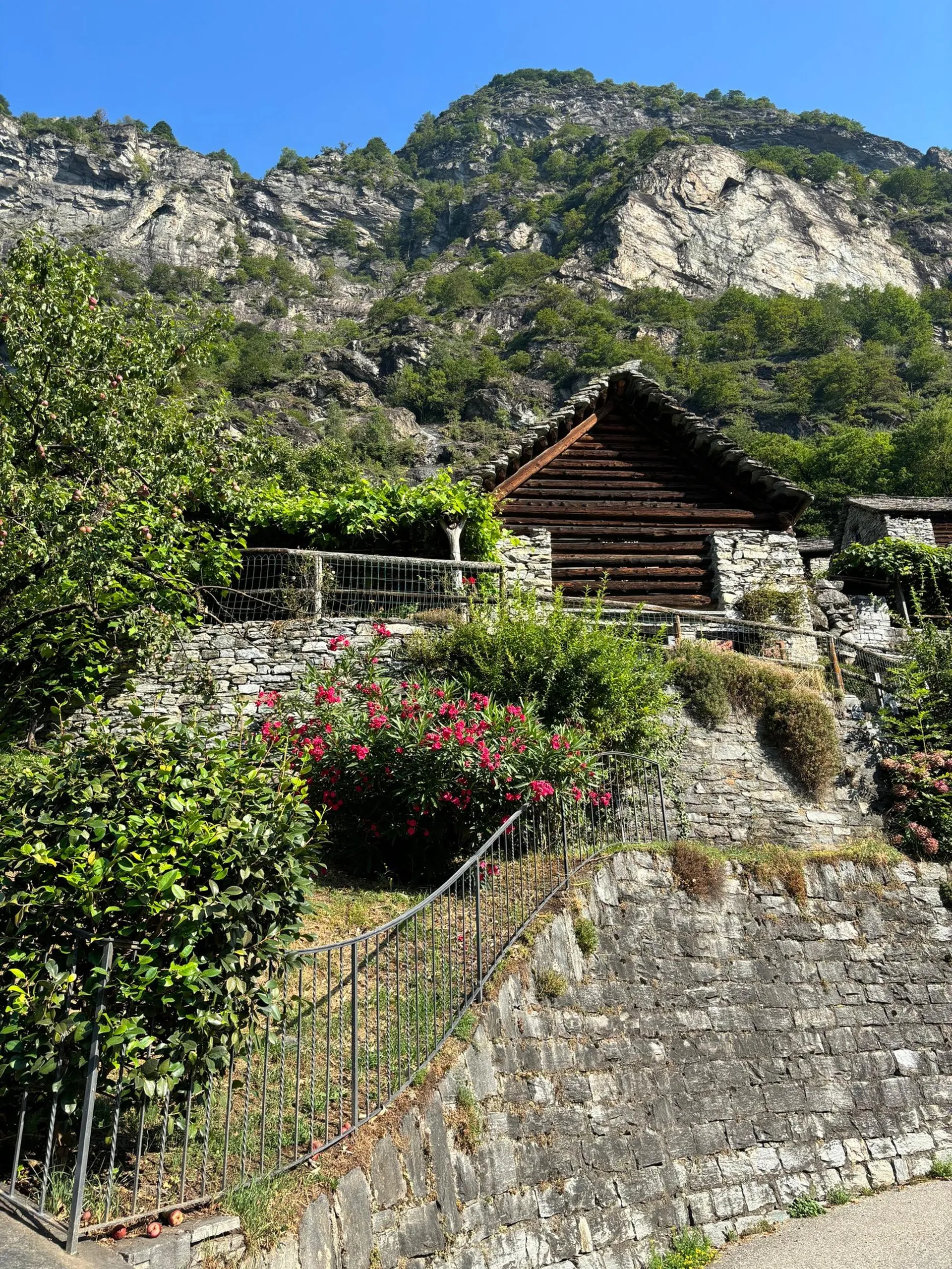Image 15