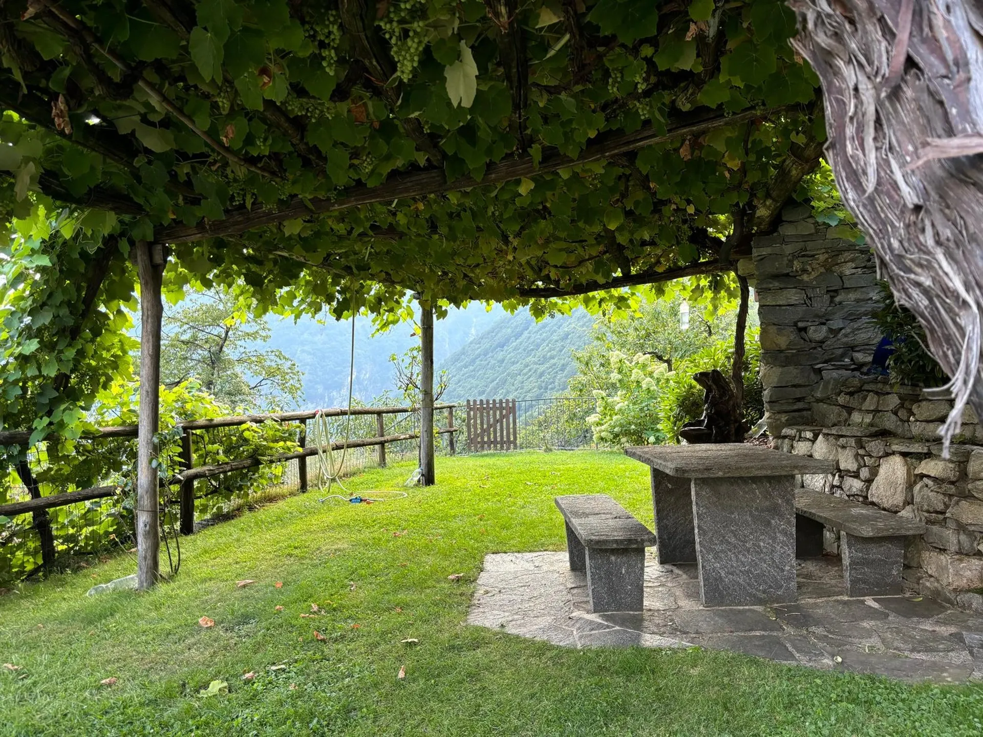 Image 10