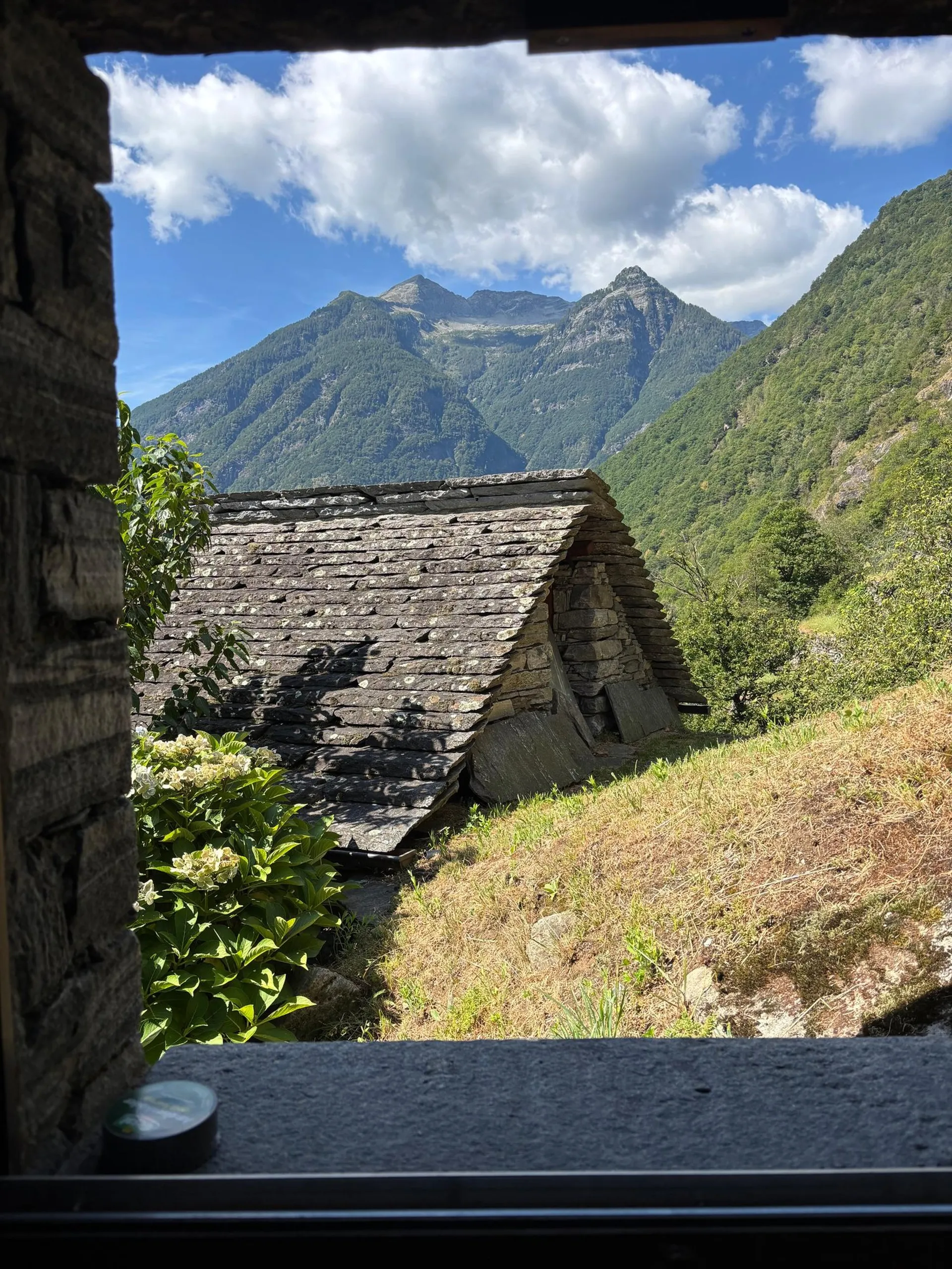 Image 20