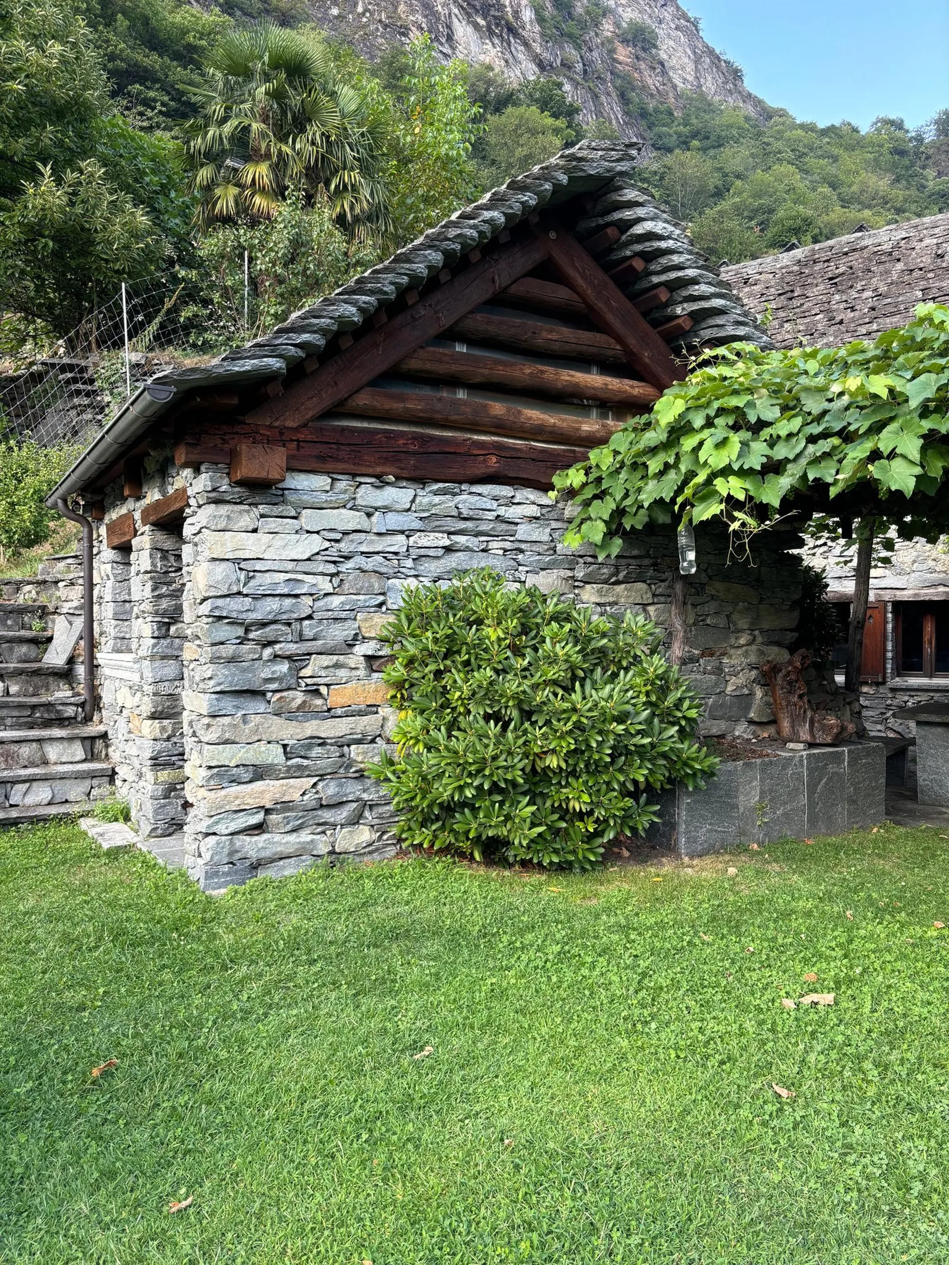Image 11