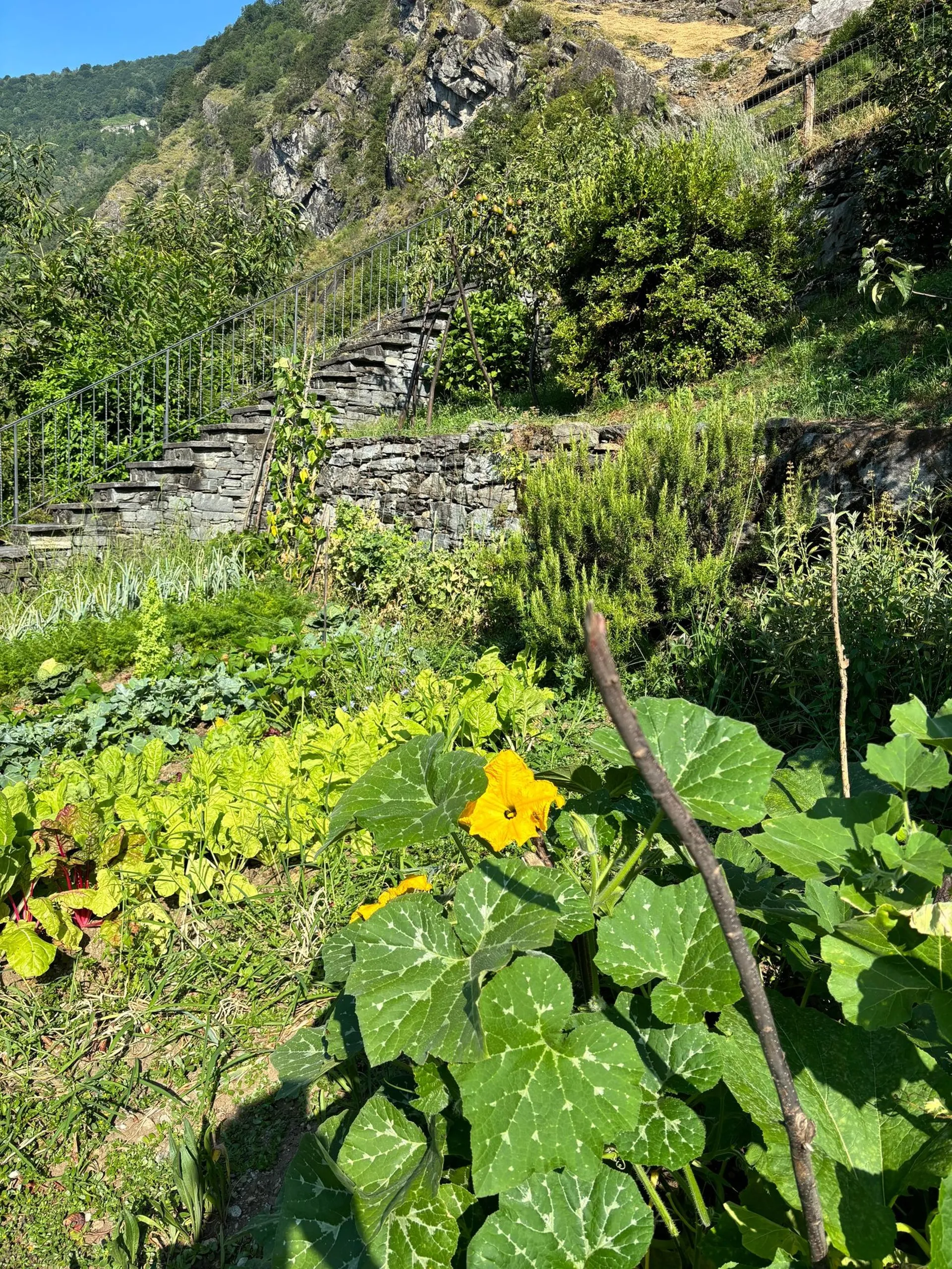 Image 14