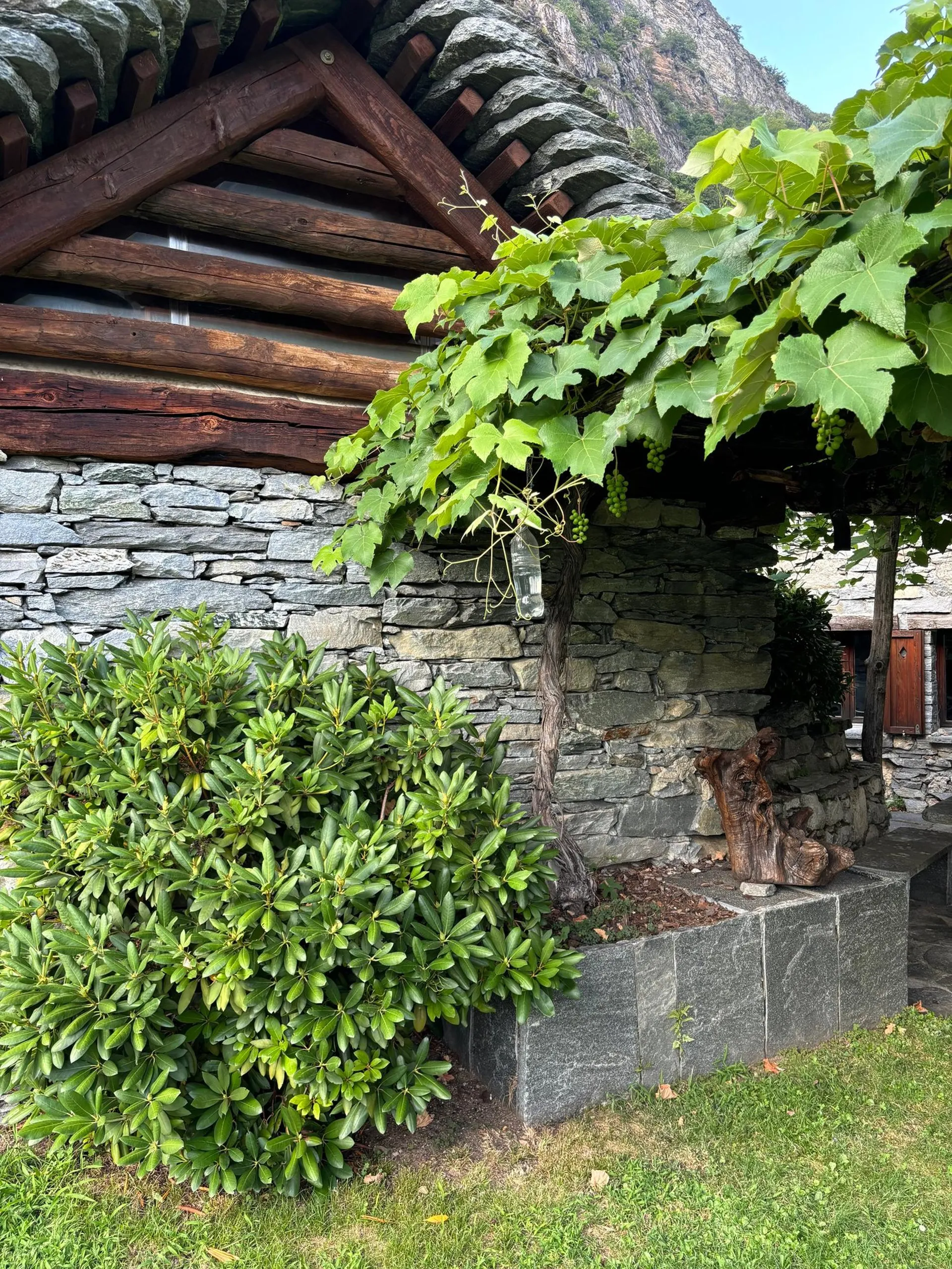 Image 12