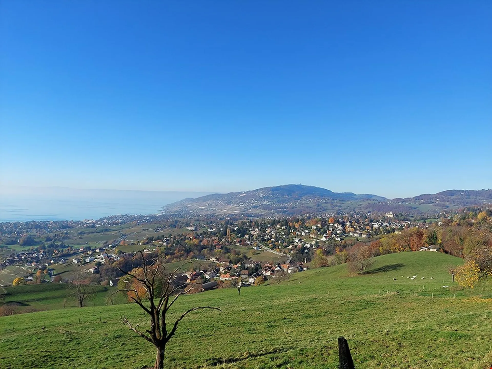 HAUTS DE BLONAY - VILLA D'EXCEPTION ET UNIQUE