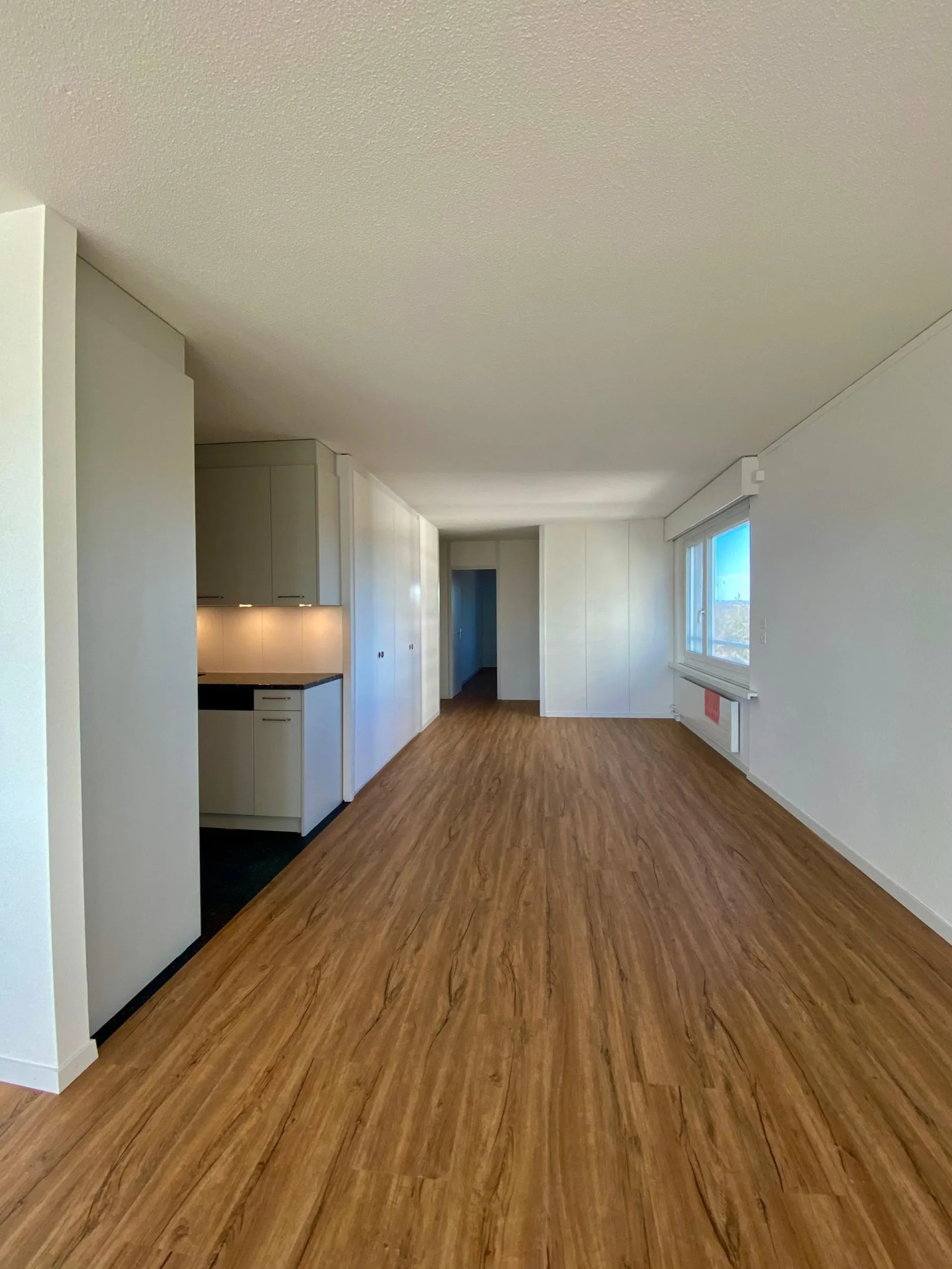 Frisch sanierte 4.5-Zimmer-Wohnung mit Blick auf die Berge