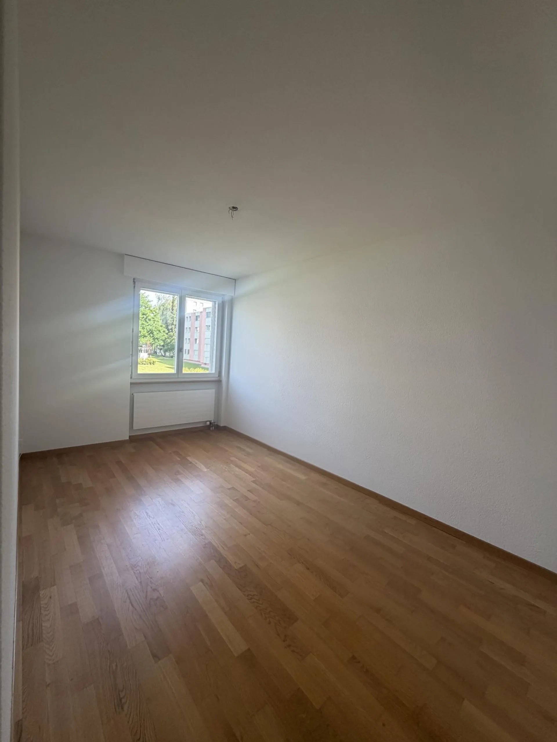 Bild 18