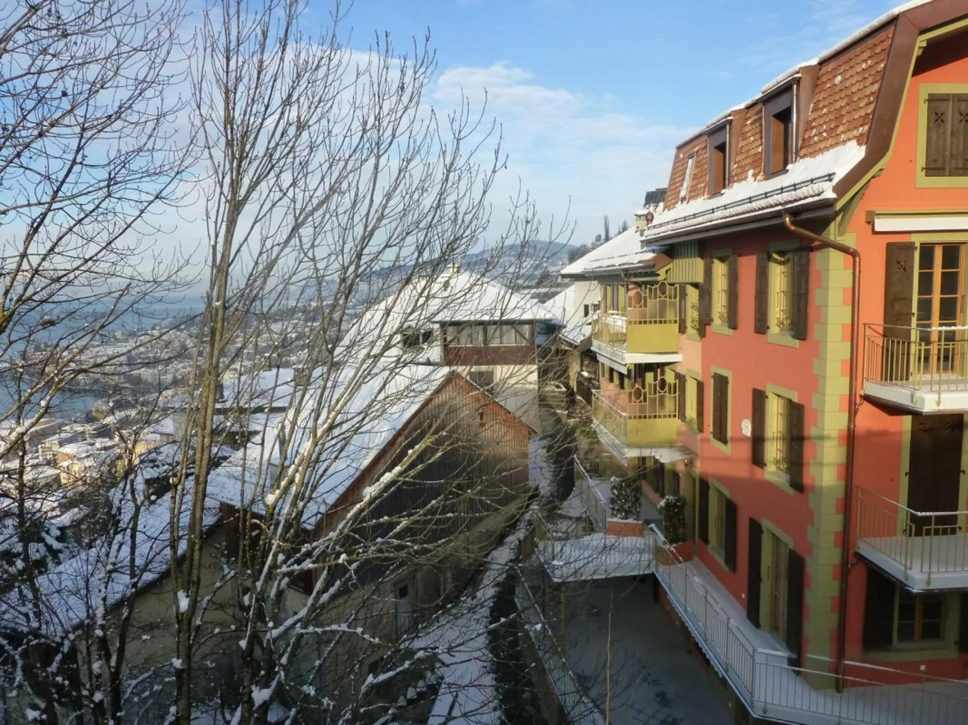 Immagine 5
