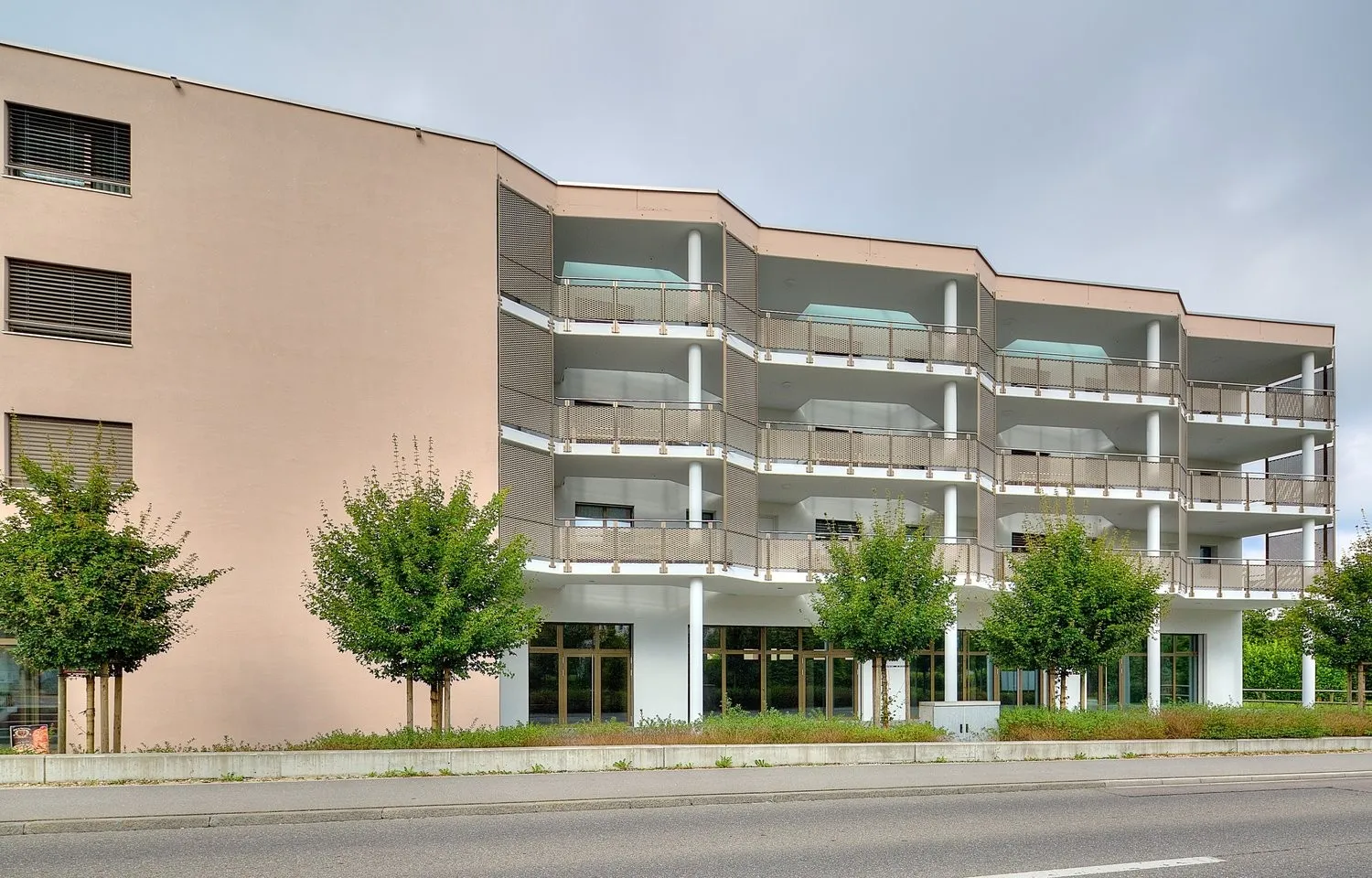 Image 5