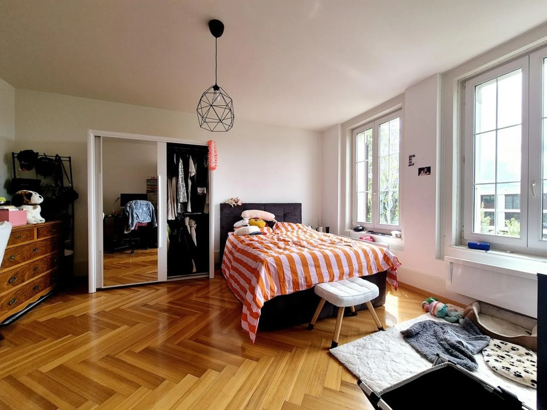 Immagine 5
