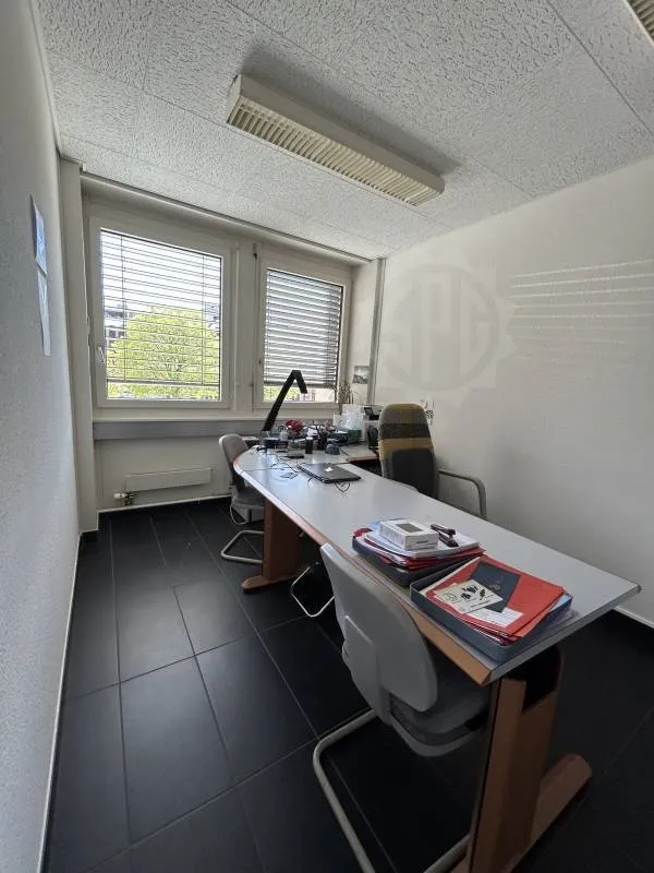 Bureaux lumineux - Chêne-Bourg