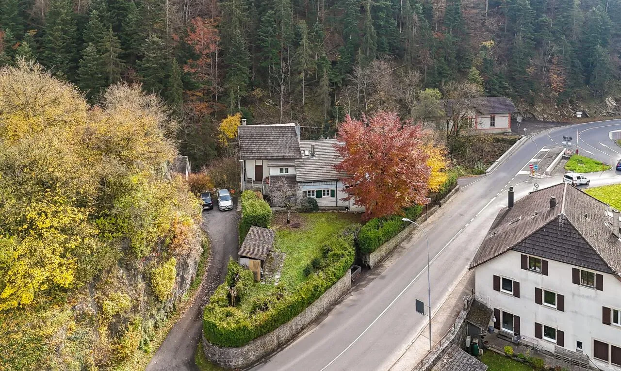Prime location Home with 2 units, large garden and forest views