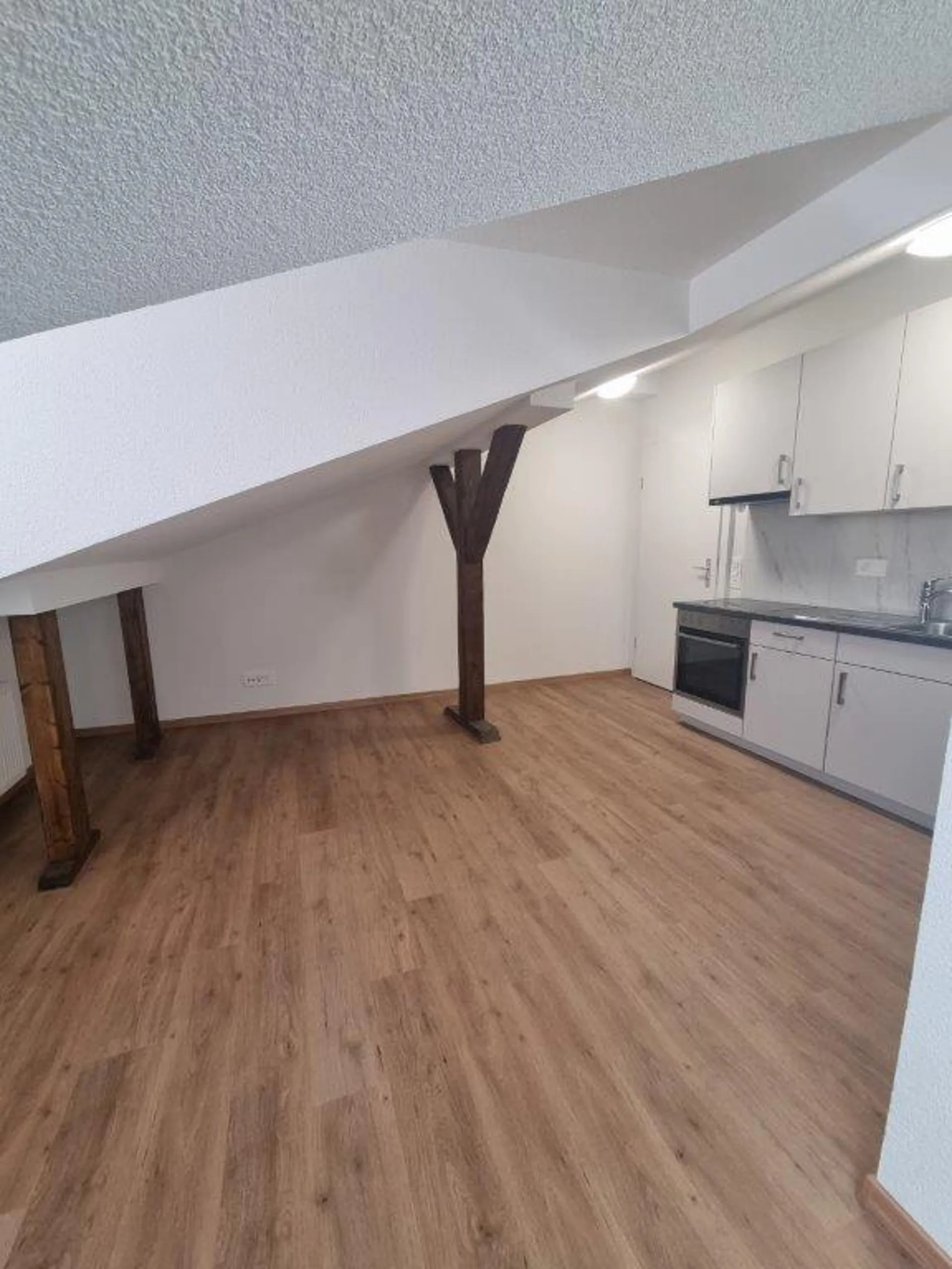 Charmant appartement sous les toits de 1 pièce à Valbirse