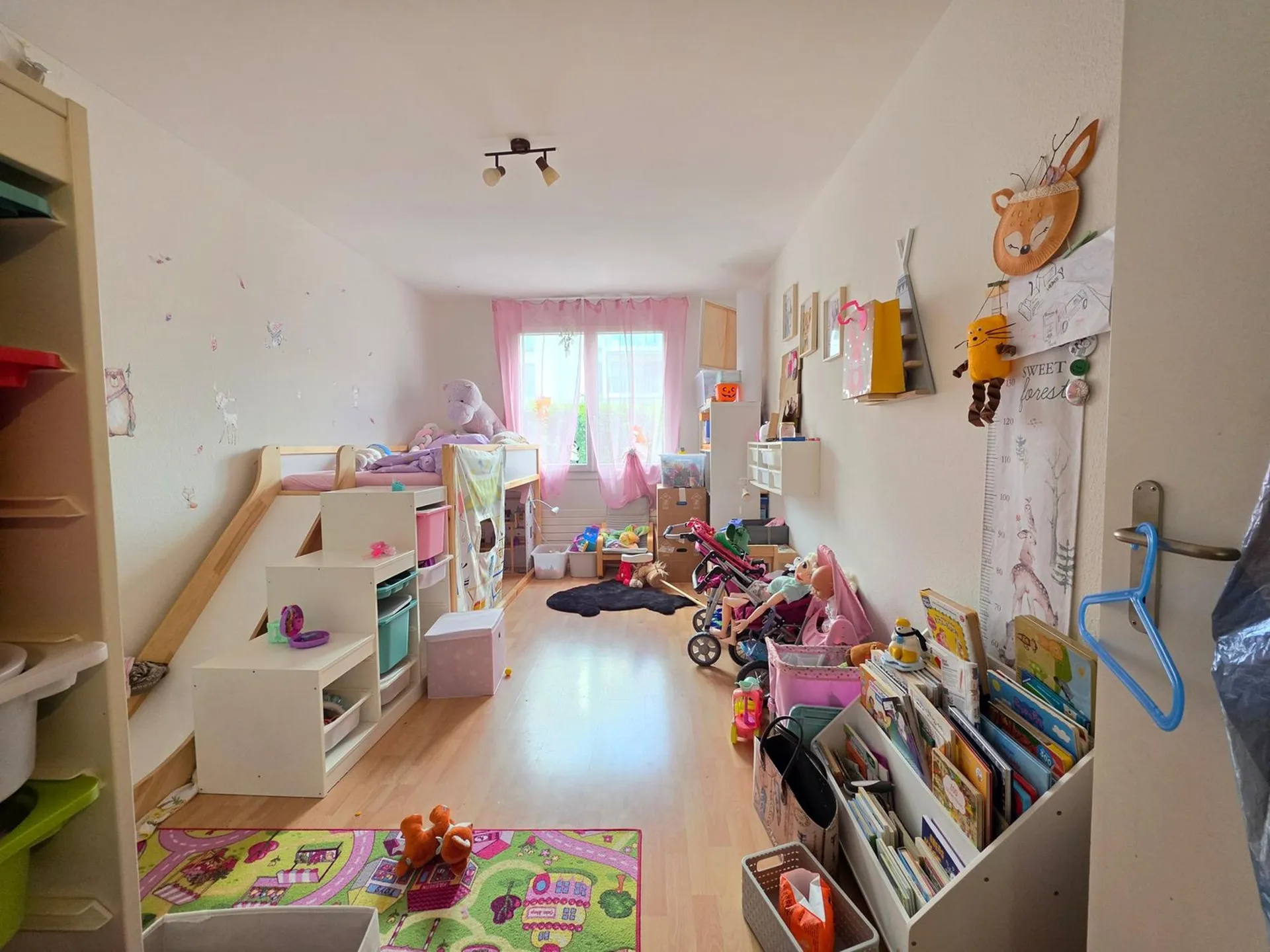 Bild 5