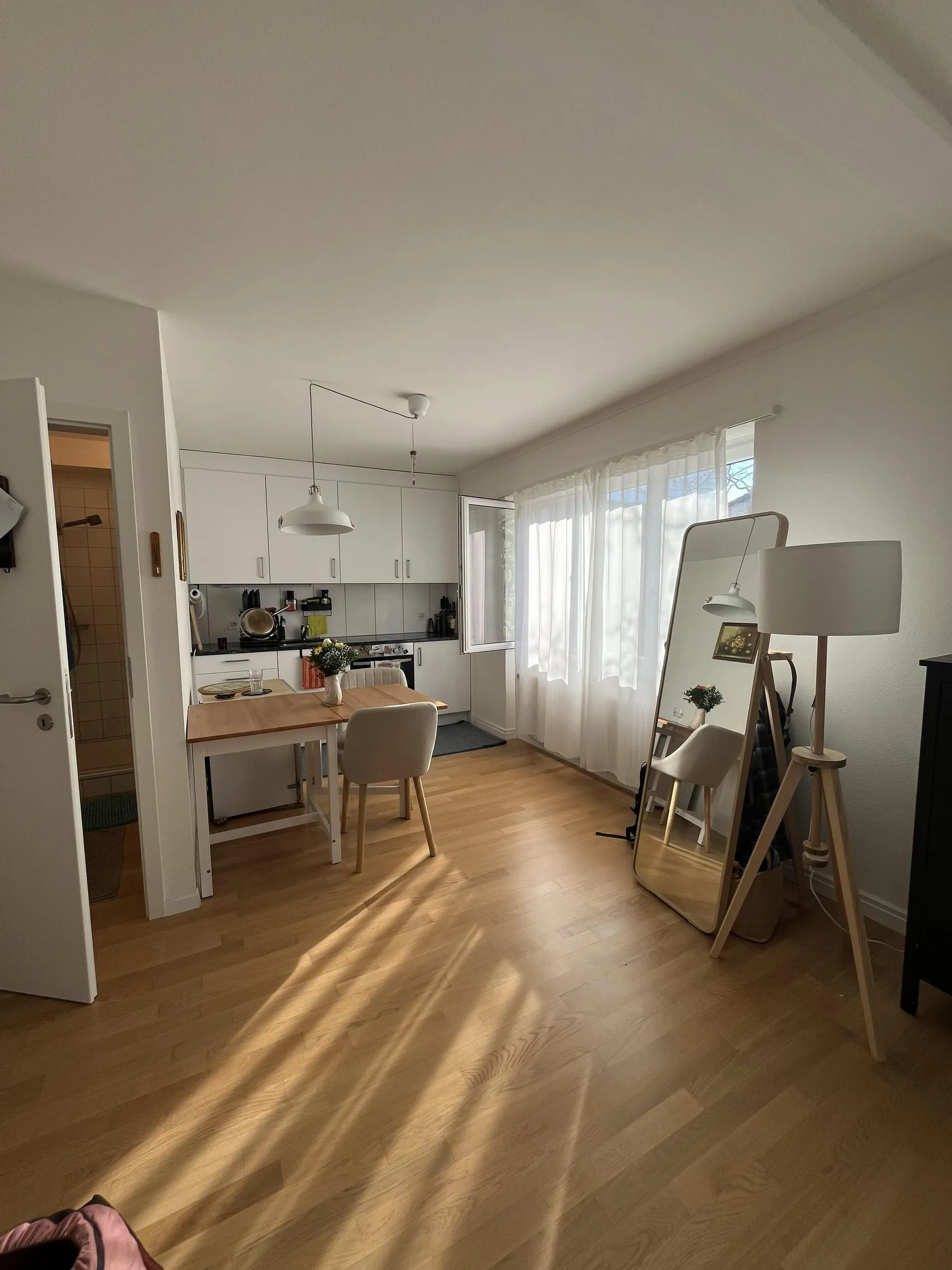 Trendige 1.0 Zimmerwohnung in Basel