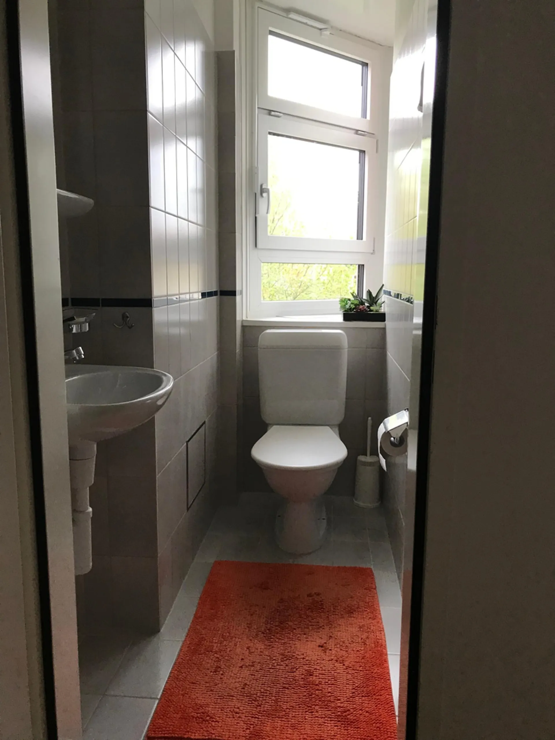 Image 8
