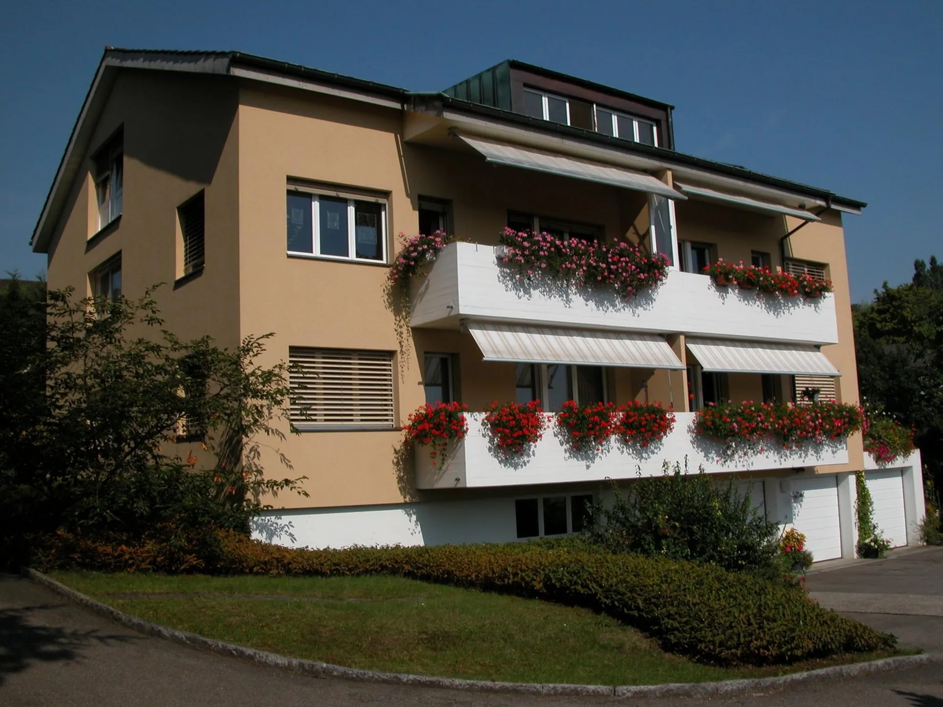 Image 12