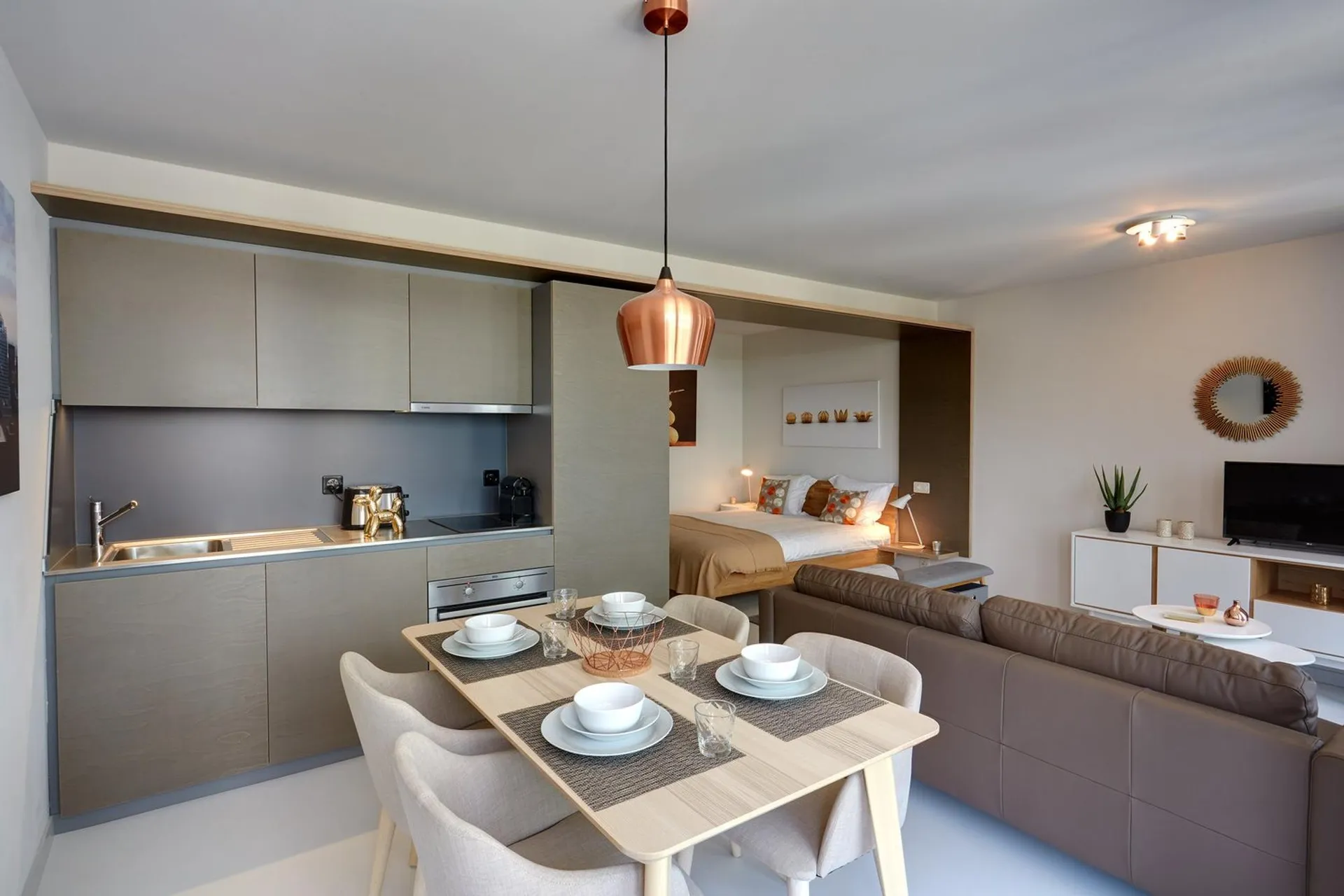 Studio meublé Standard /Furnished studio Standard Nyon