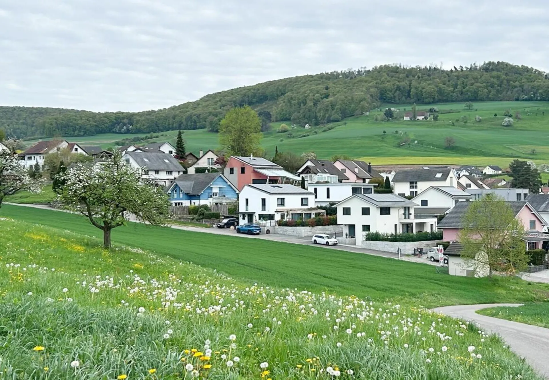 Image 18