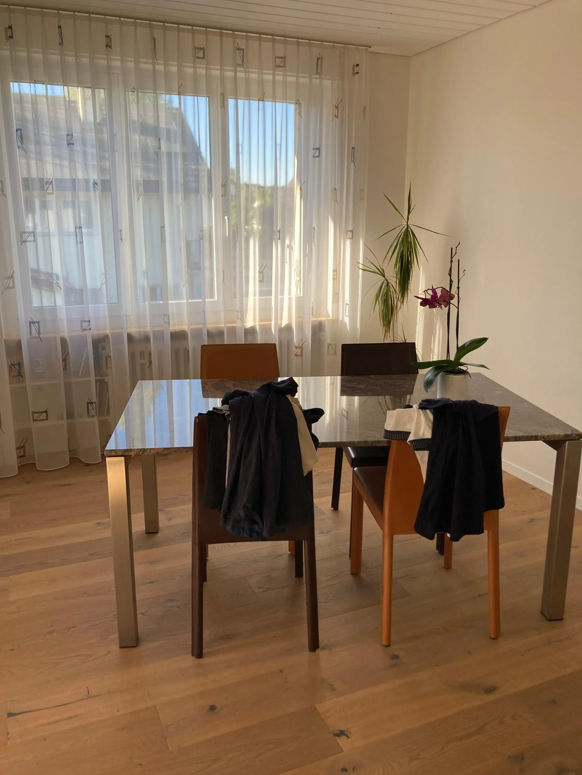 Bild 15