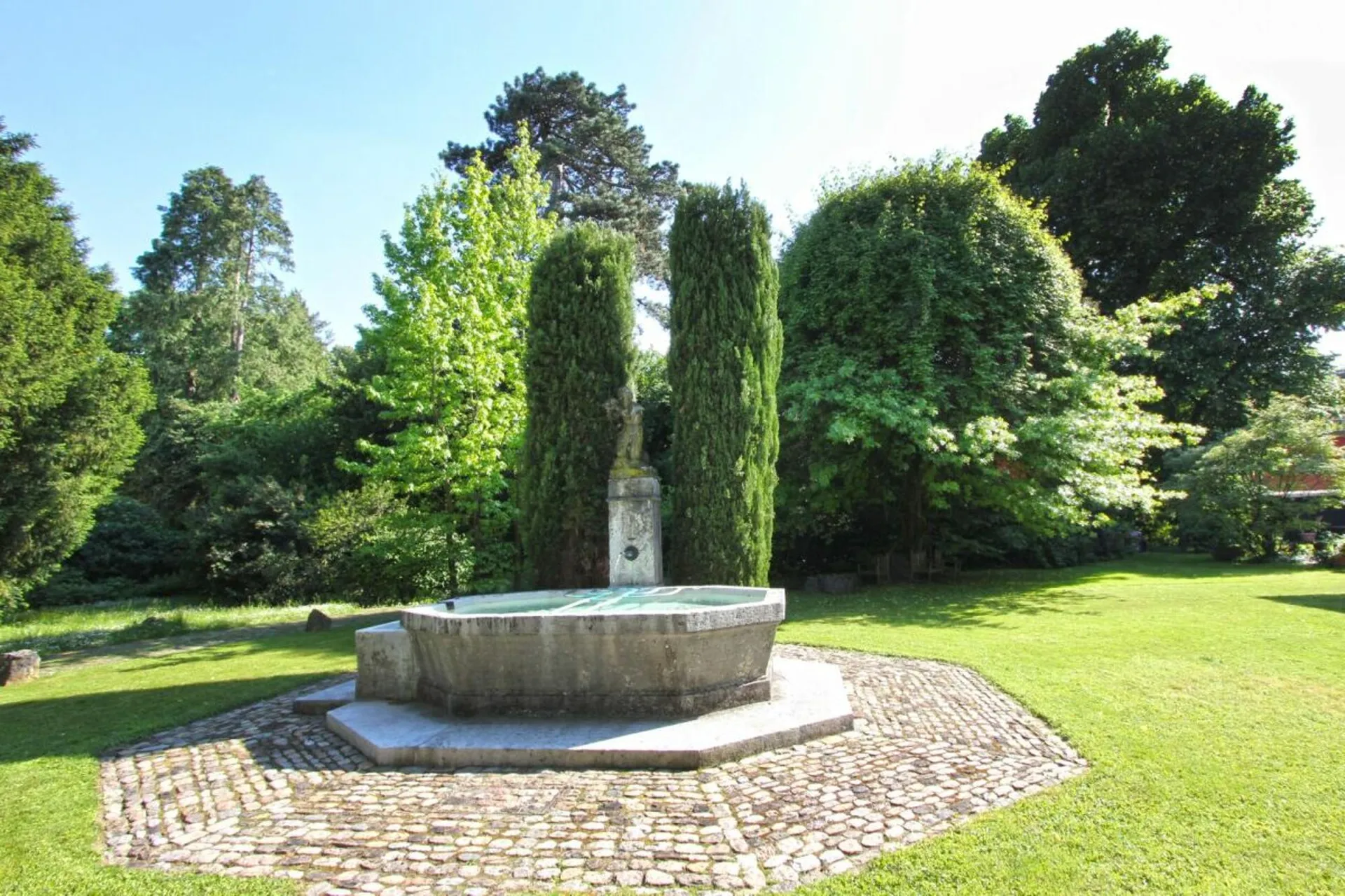 Image 12