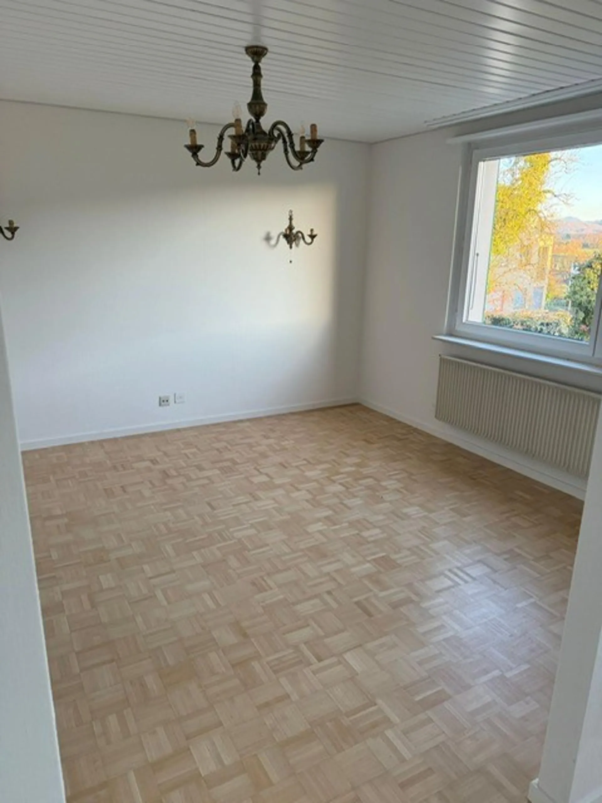 Bild 17