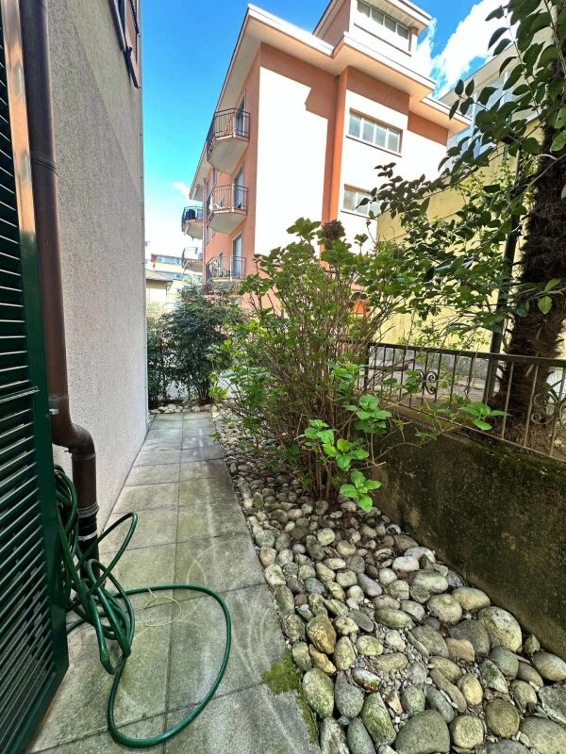Image 8