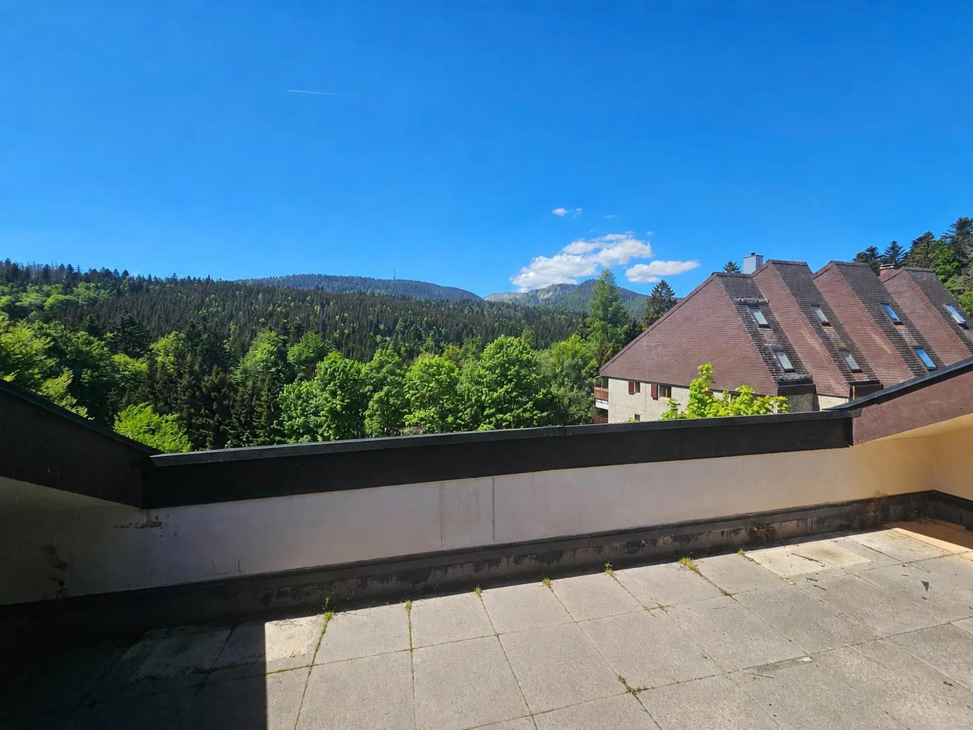 Attique lumineux en duplex avec grand balcon à St-Cergue, Vente aux enchères