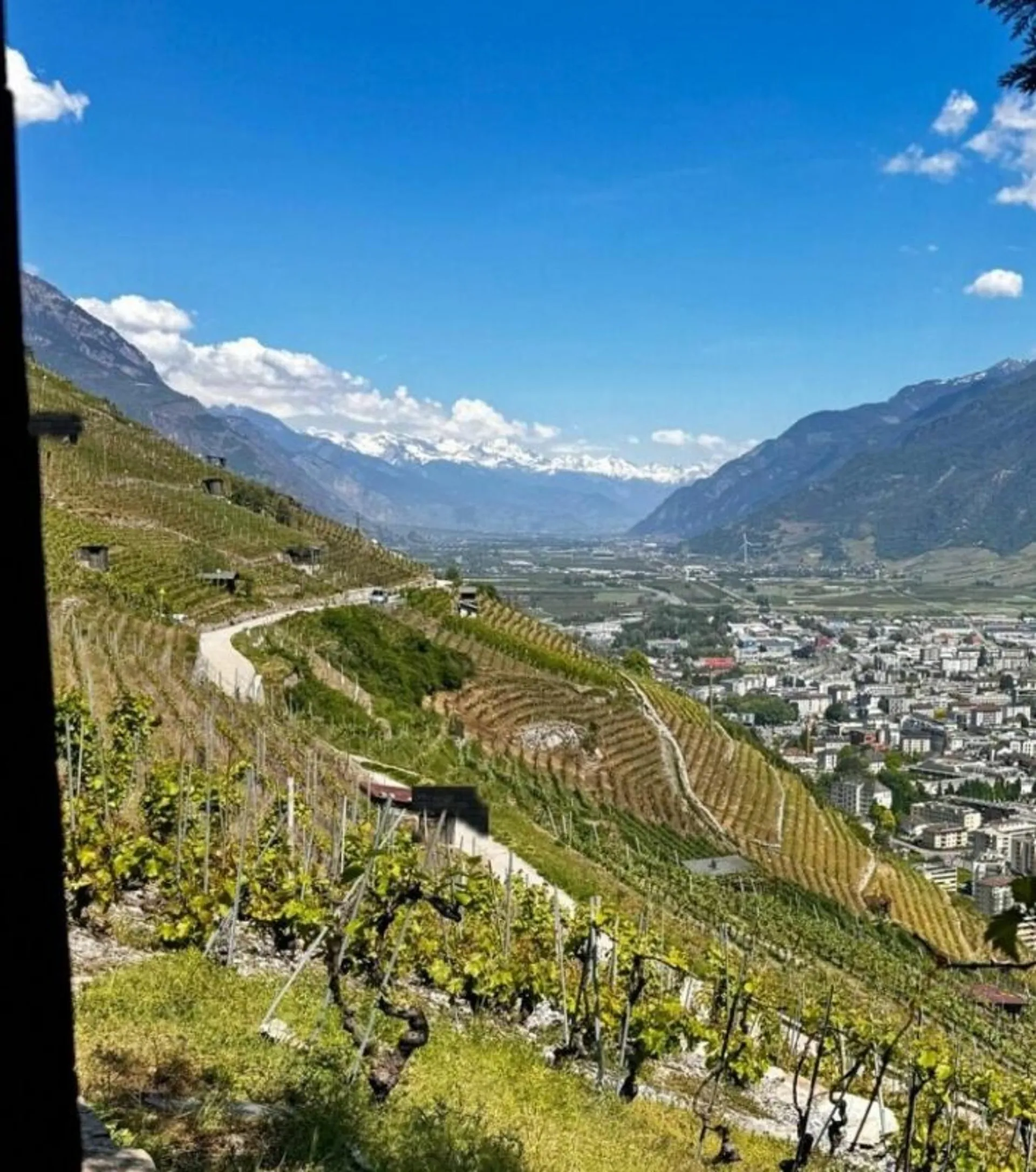 EXCLUSIVITÉ - AUTHENTIQUE GUÉRITE AU COEUR DU VIGNOBLE VALAISAN