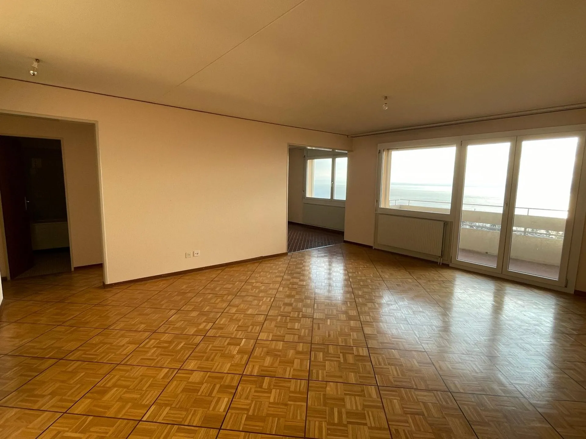 Appartement de 3,5 pcs avec vue imprenable sur le lac et les Alpes