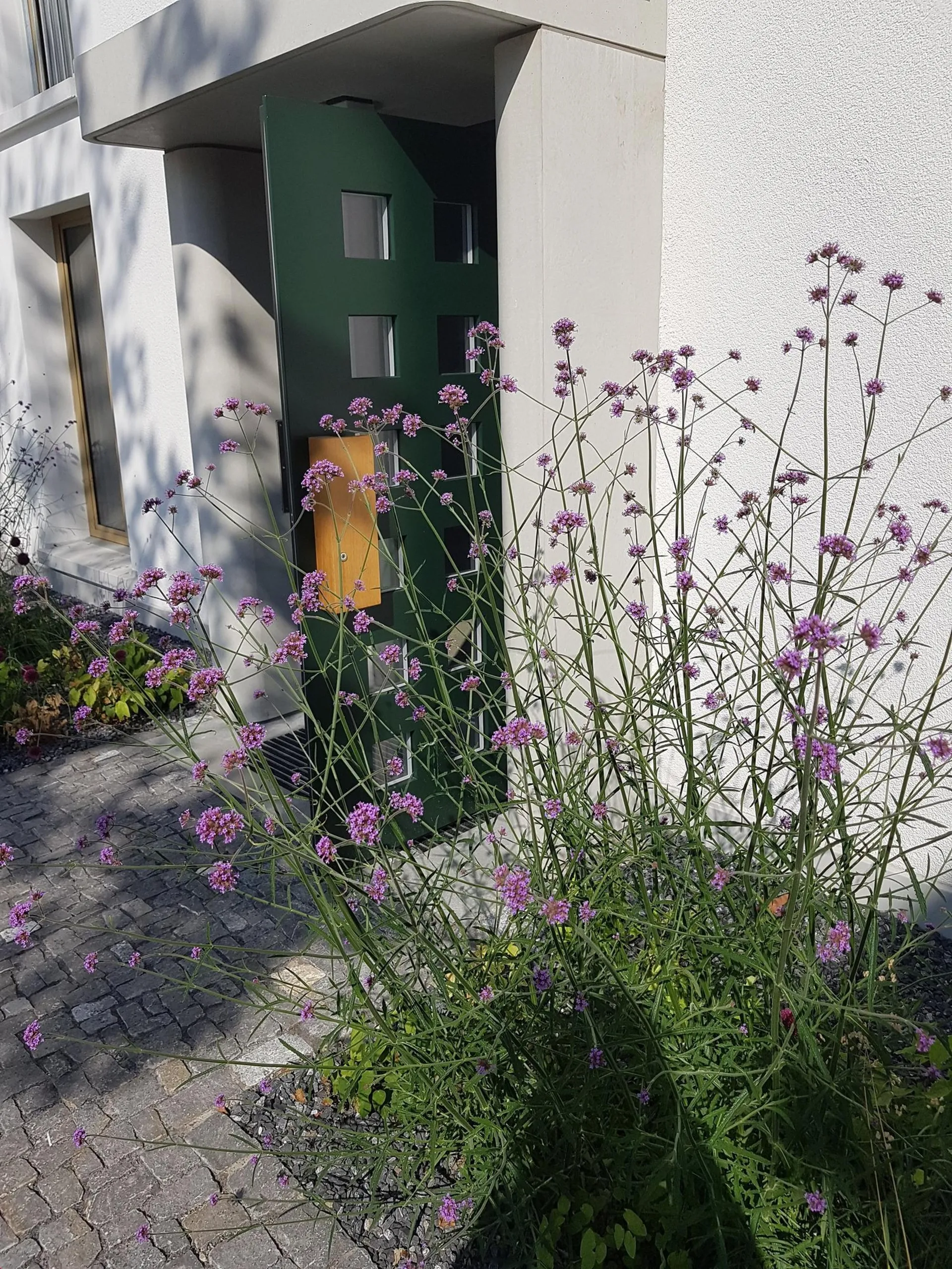 Attika Wohntraum am Bach mit grosser Dachterrasse