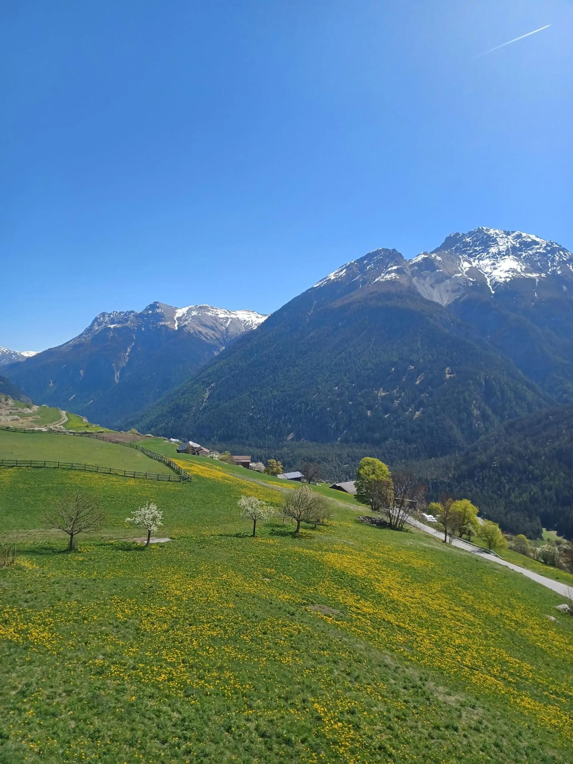 Immagine 2