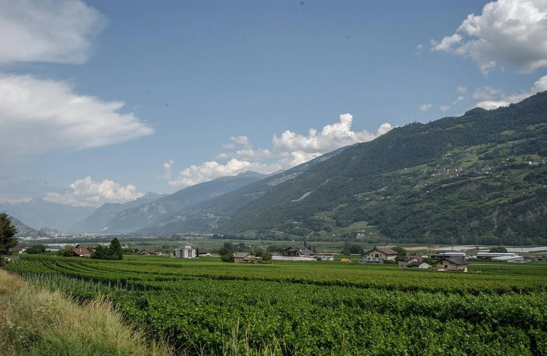 Image 22