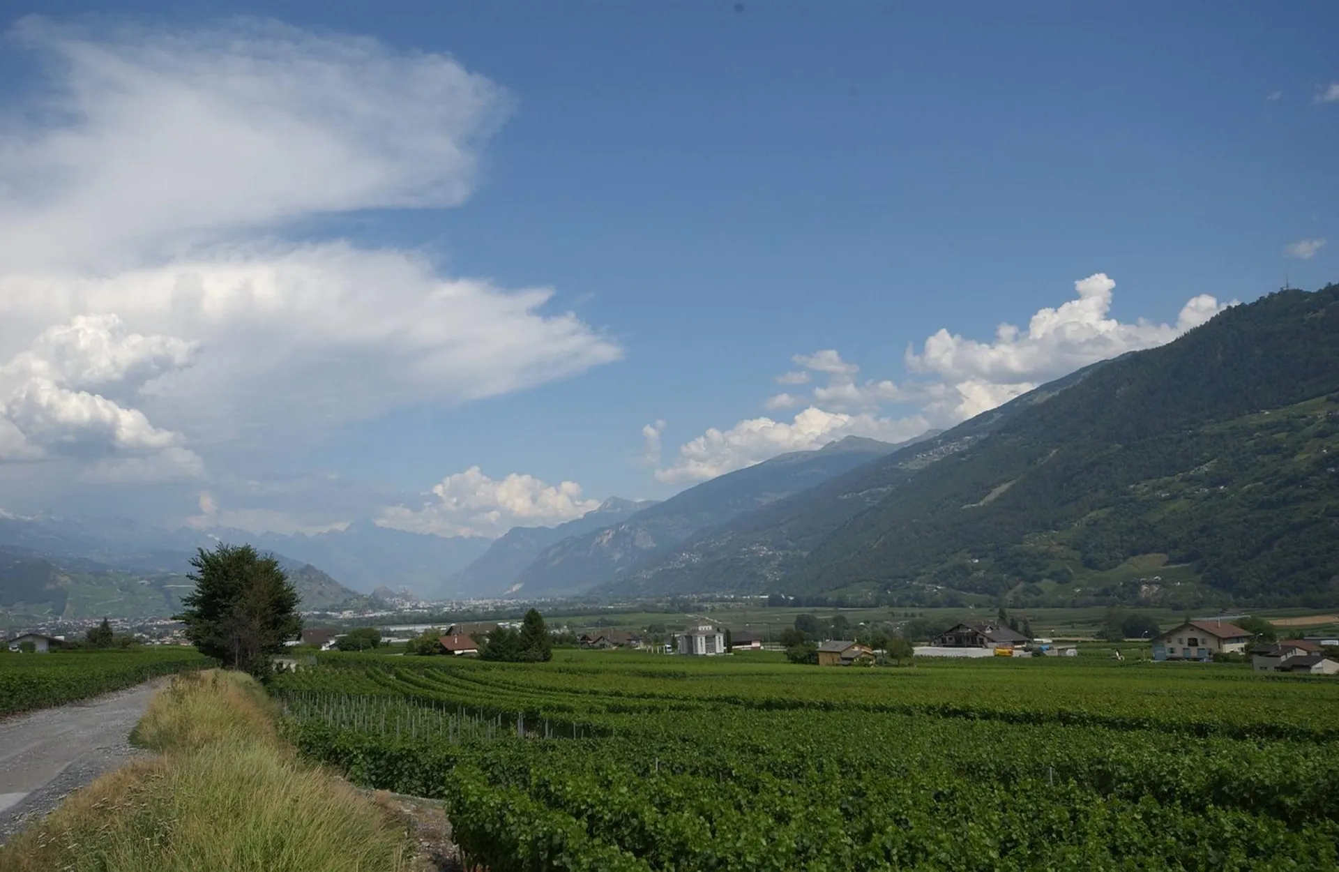 Image 24